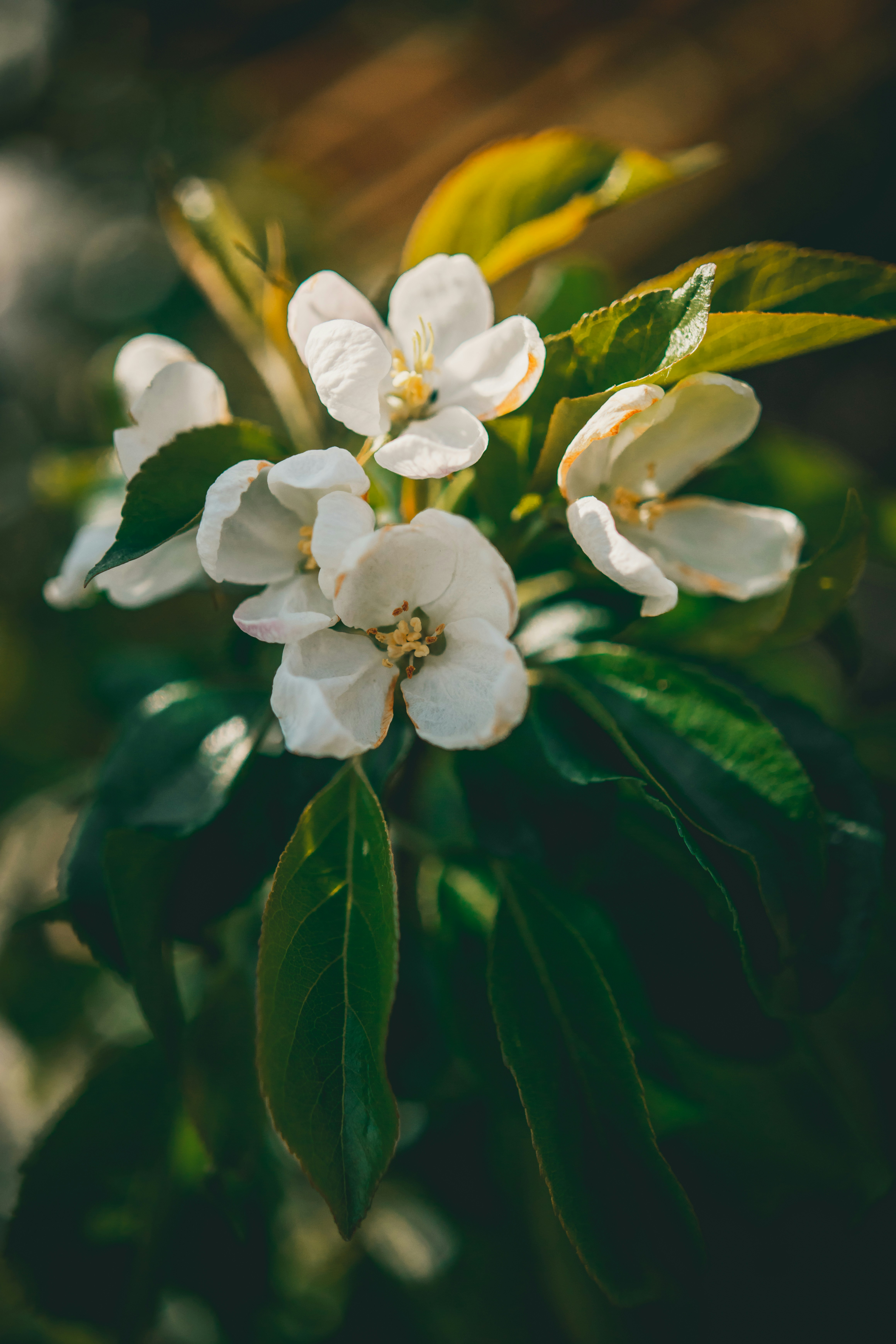 Photo by raimondklavins