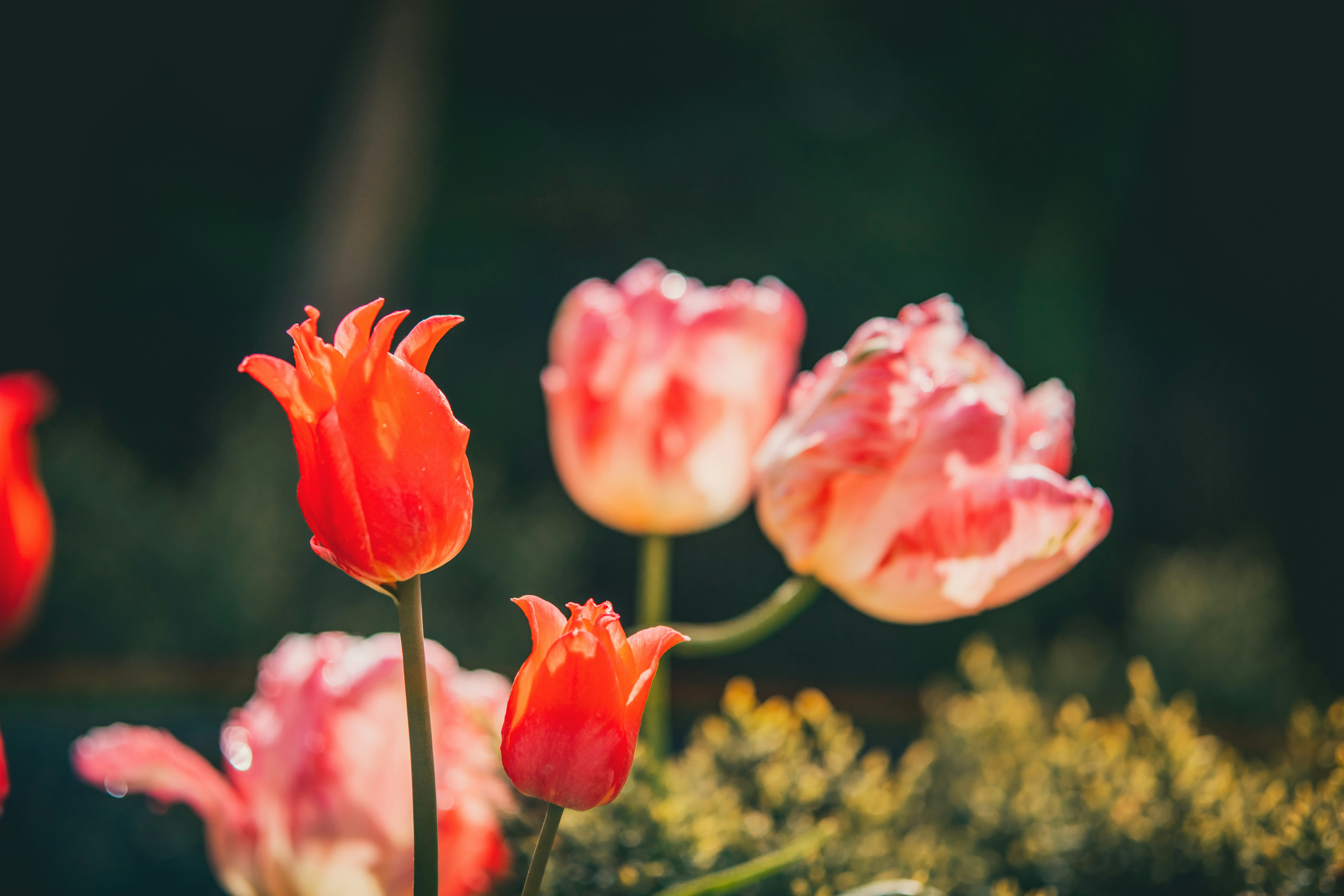 Photo by raimondklavins