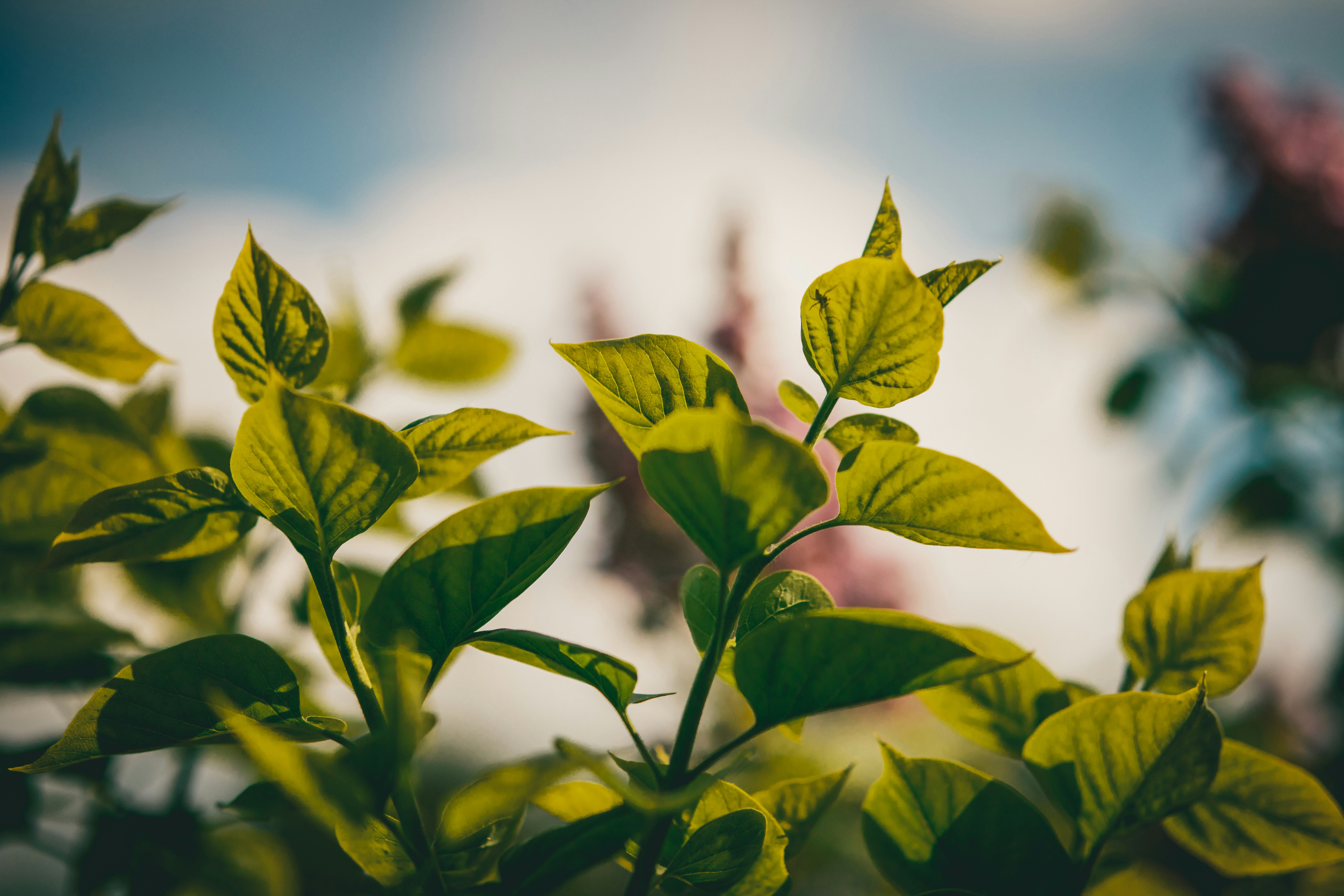 Photo by raimondklavins