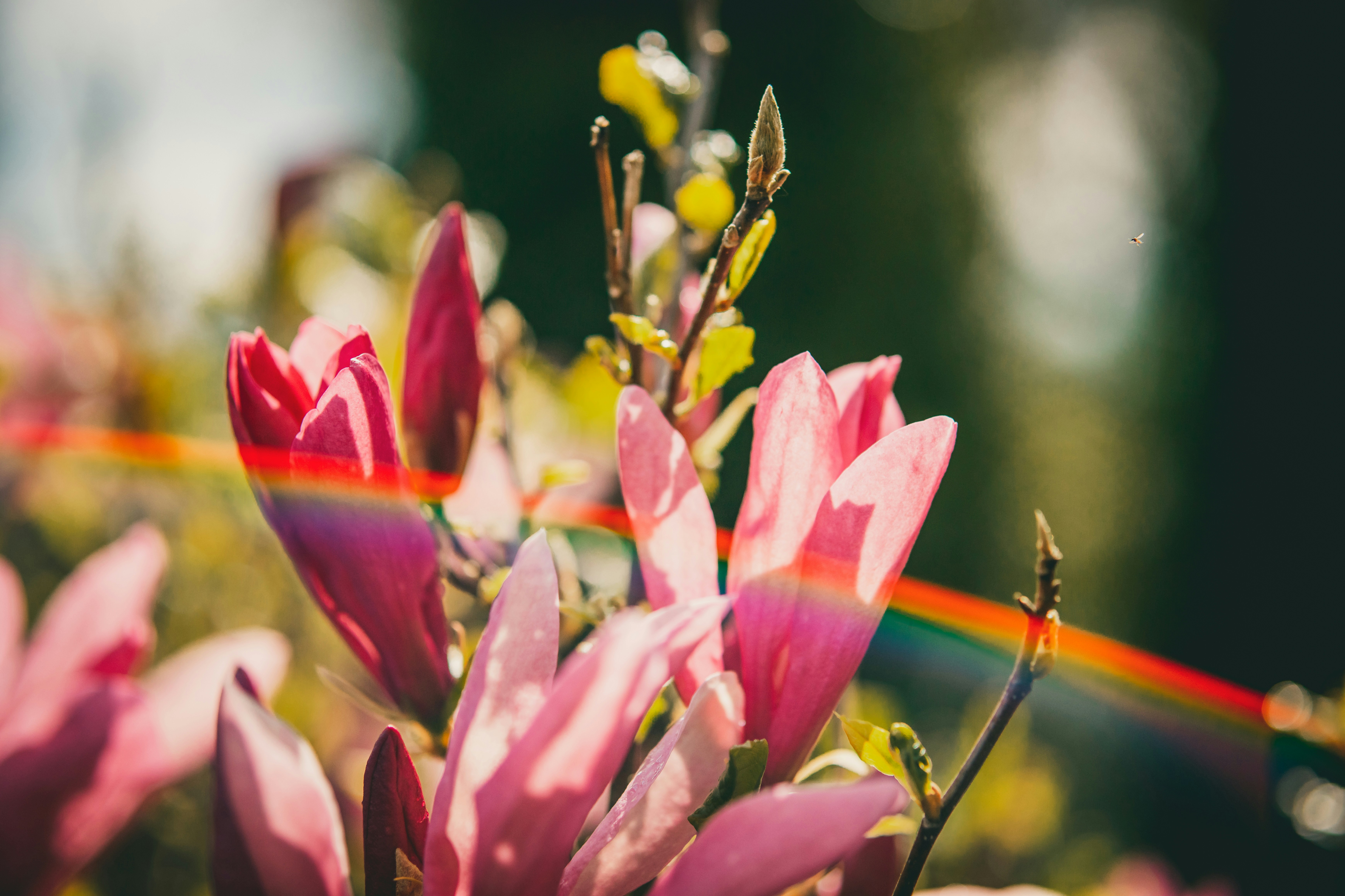 Photo by raimondklavins