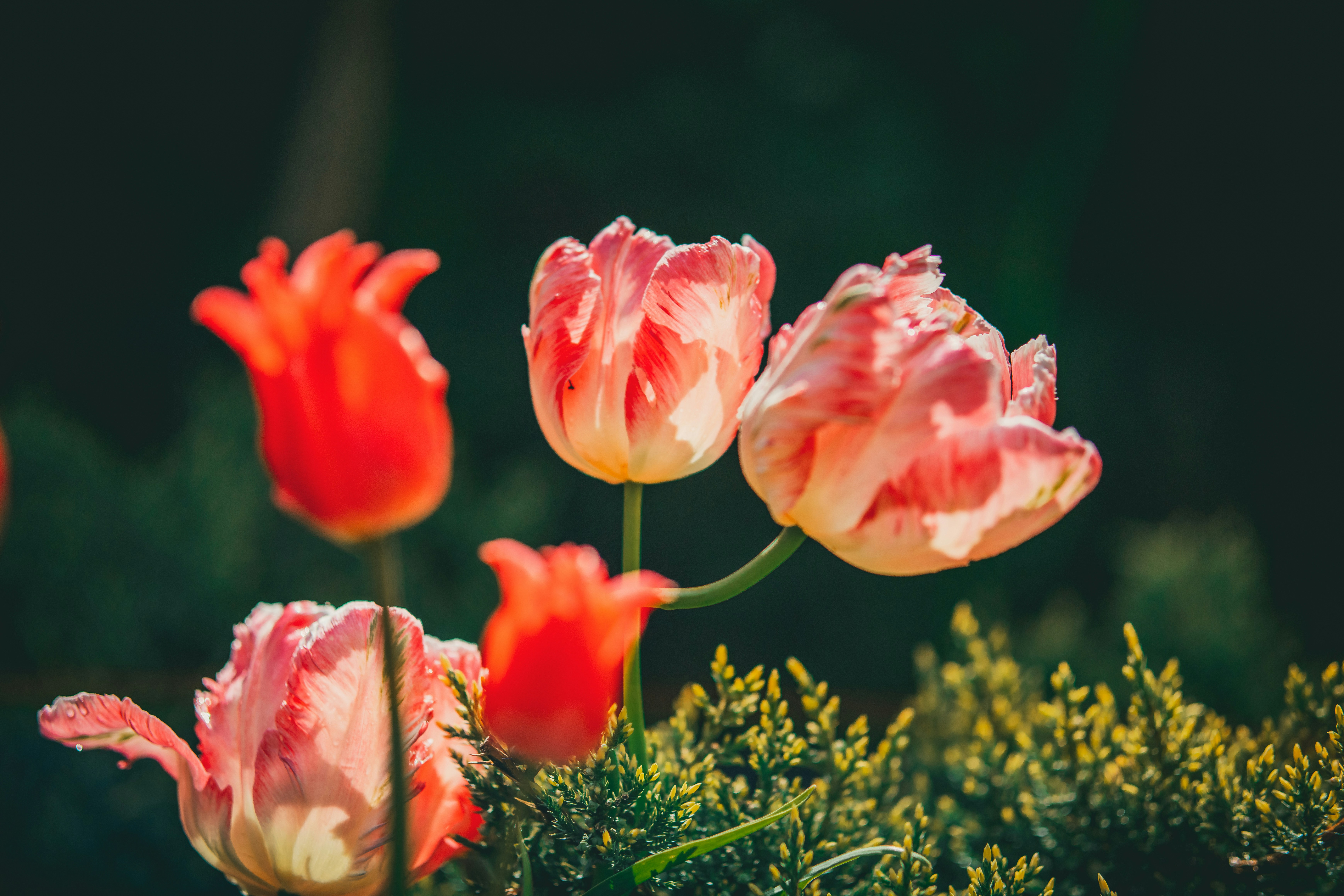 Photo by raimondklavins