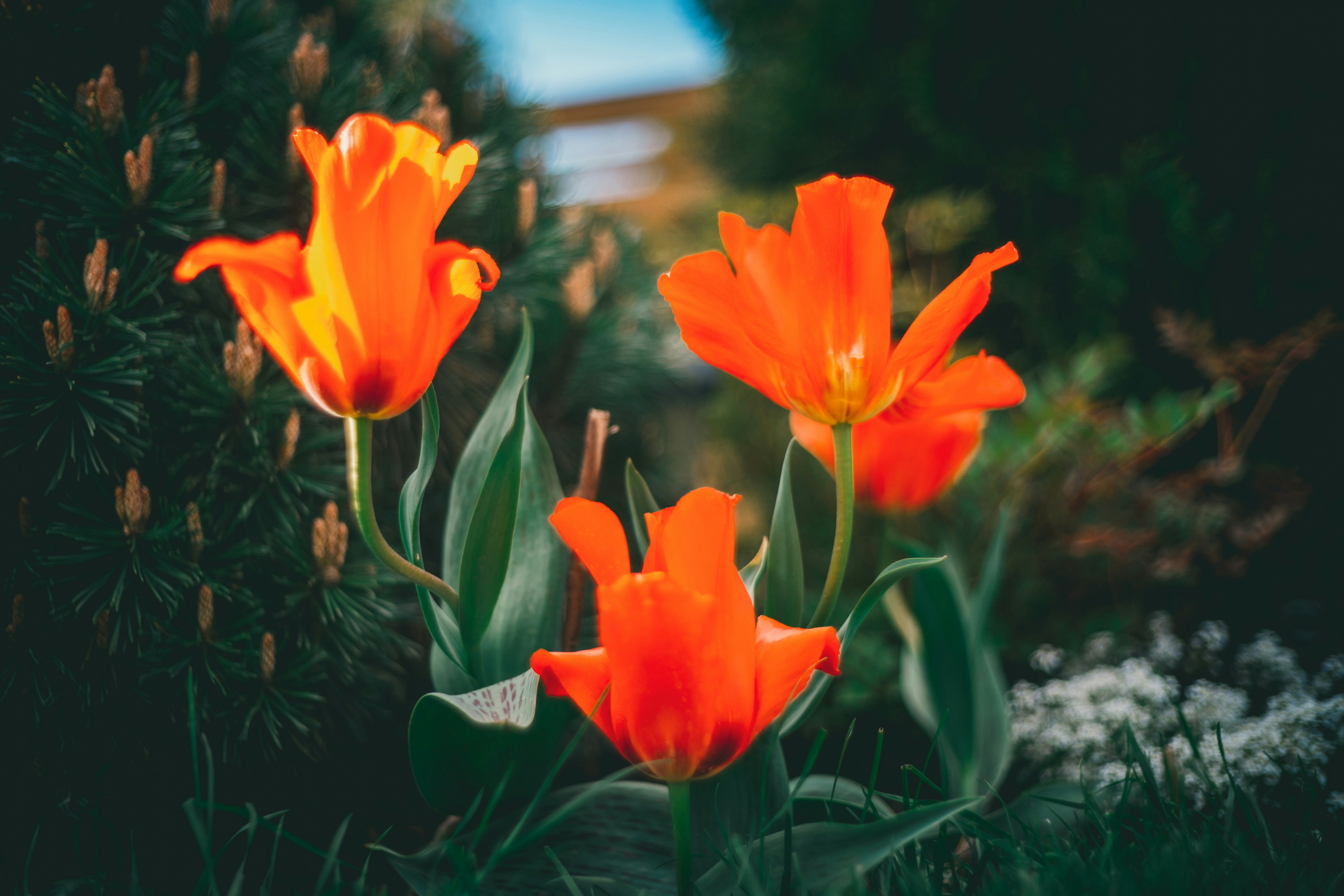 Photo by raimondklavins