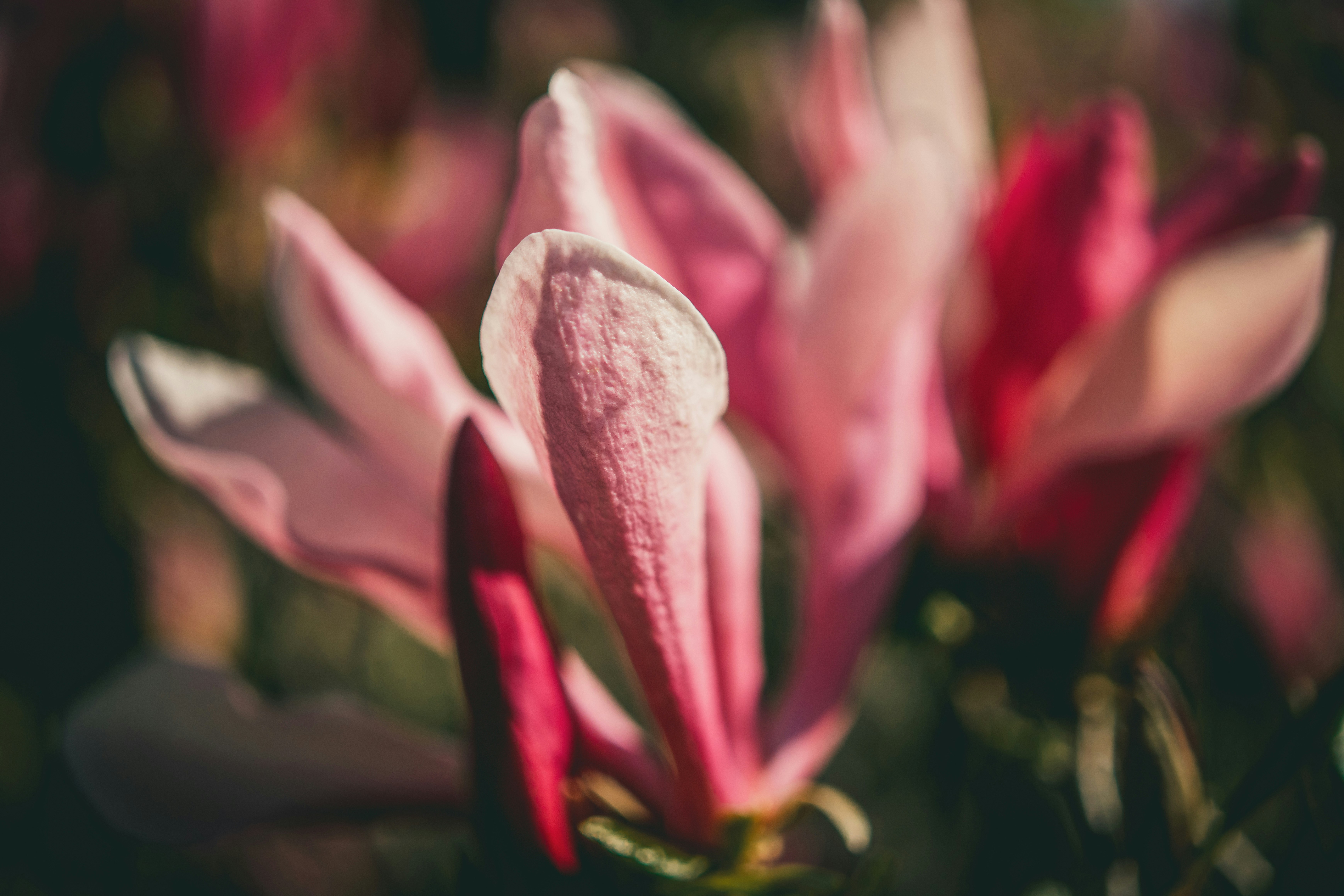 Photo by raimondklavins