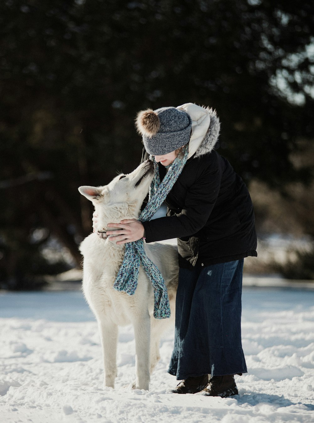 woman in blue jacket and white knit cap holding white short coat large dog