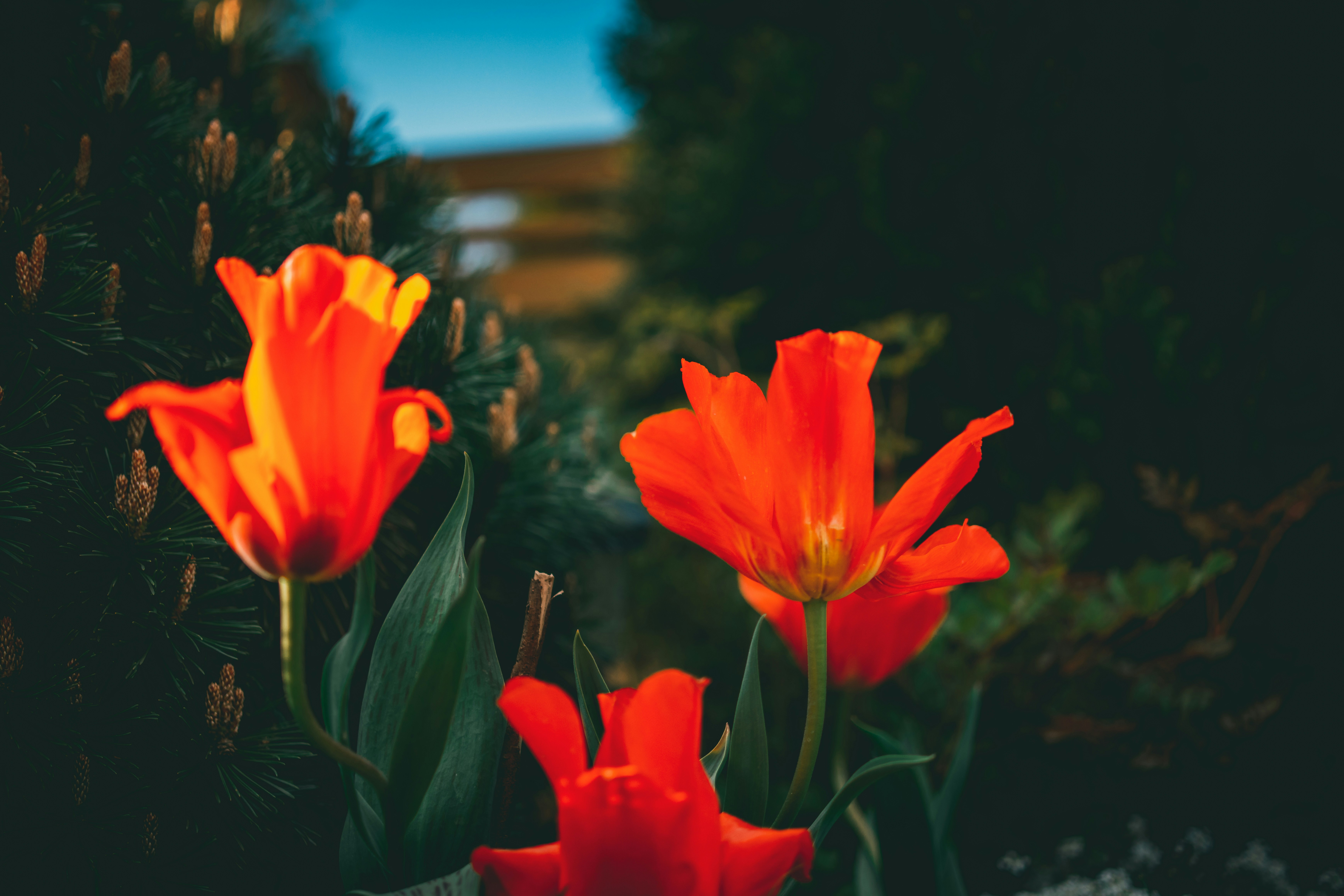 Photo by raimondklavins