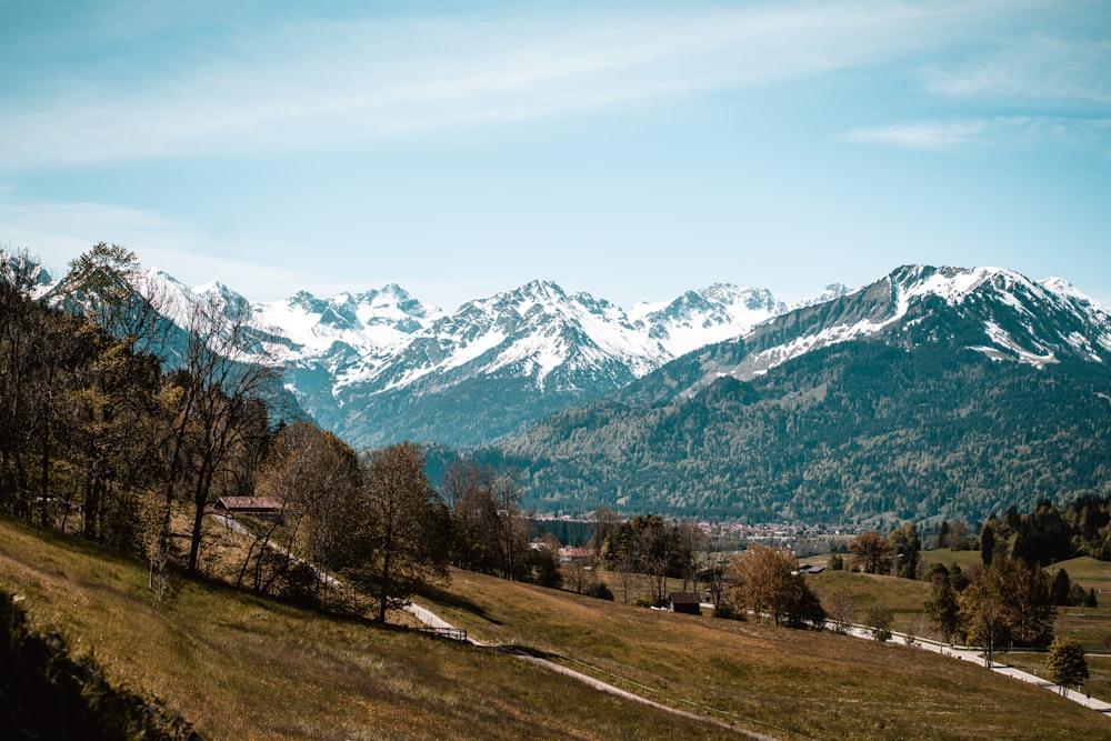 green grass field near trees and mountains during daytime