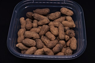 A clear plastic container holds several unshelled peanuts against a dark background. The peanuts are arranged in a random pile, showcasing their textured, rough shells with a light brown color.