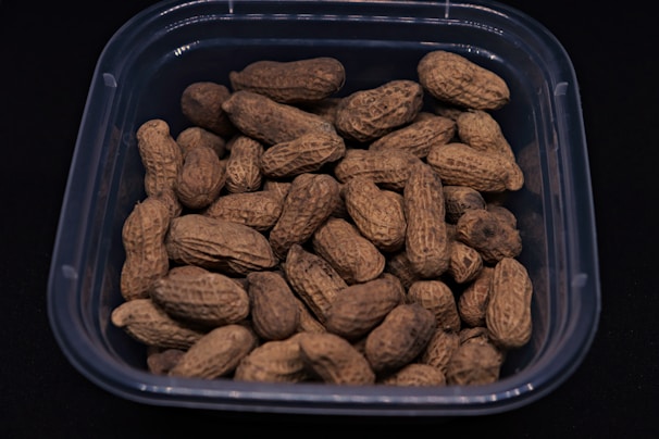 A clear plastic container holds several unshelled peanuts against a dark background. The peanuts are arranged in a random pile, showcasing their textured, rough shells with a light brown color.