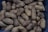 A pile of whole unshelled peanuts fills the frame, showcasing their rough and textured shells. The peanuts are packed closely together, with various shades of brown and some darker spots visible on the shells.