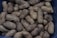 A pile of whole unshelled peanuts fills the frame, showcasing their rough and textured shells. The peanuts are packed closely together, with various shades of brown and some darker spots visible on the shells.