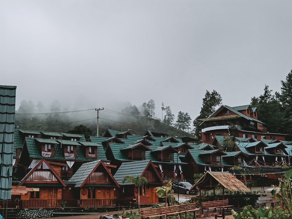 brown and black houses near green trees under white sky during daytime