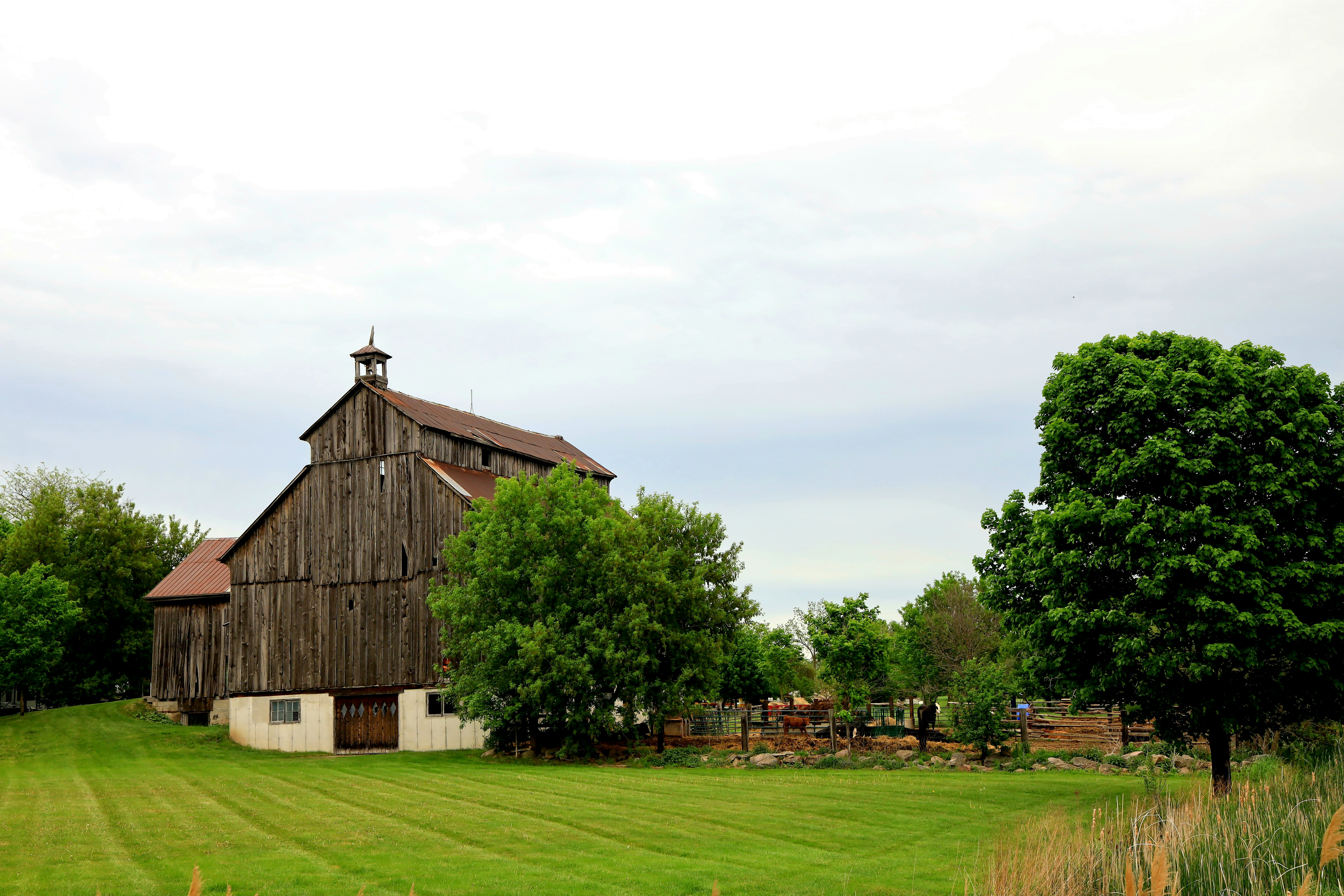 Photo by richardworks