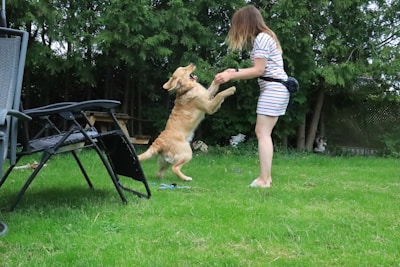 A woman in a striped dress is playing with a golden retriever in a grassy backyard. The dog is standing on its hind legs, appearing to be jumping or dancing while holding the woman's hands. There are trees and lawn chairs in the background, contributing to a relaxed outdoor atmosphere.
