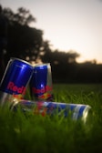 Several Red Bull energy drink cans are positioned on a grassy field with a backdrop of trees. The scene appears to be captured during sunset, creating a warm, ambient glow.
