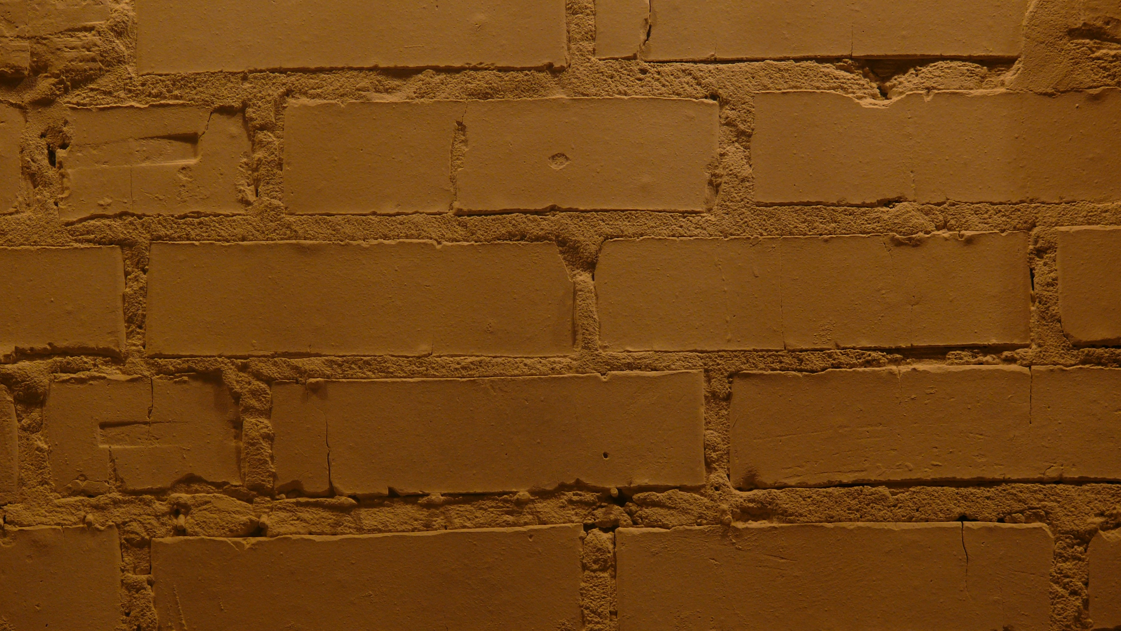 white brick wall during daytime