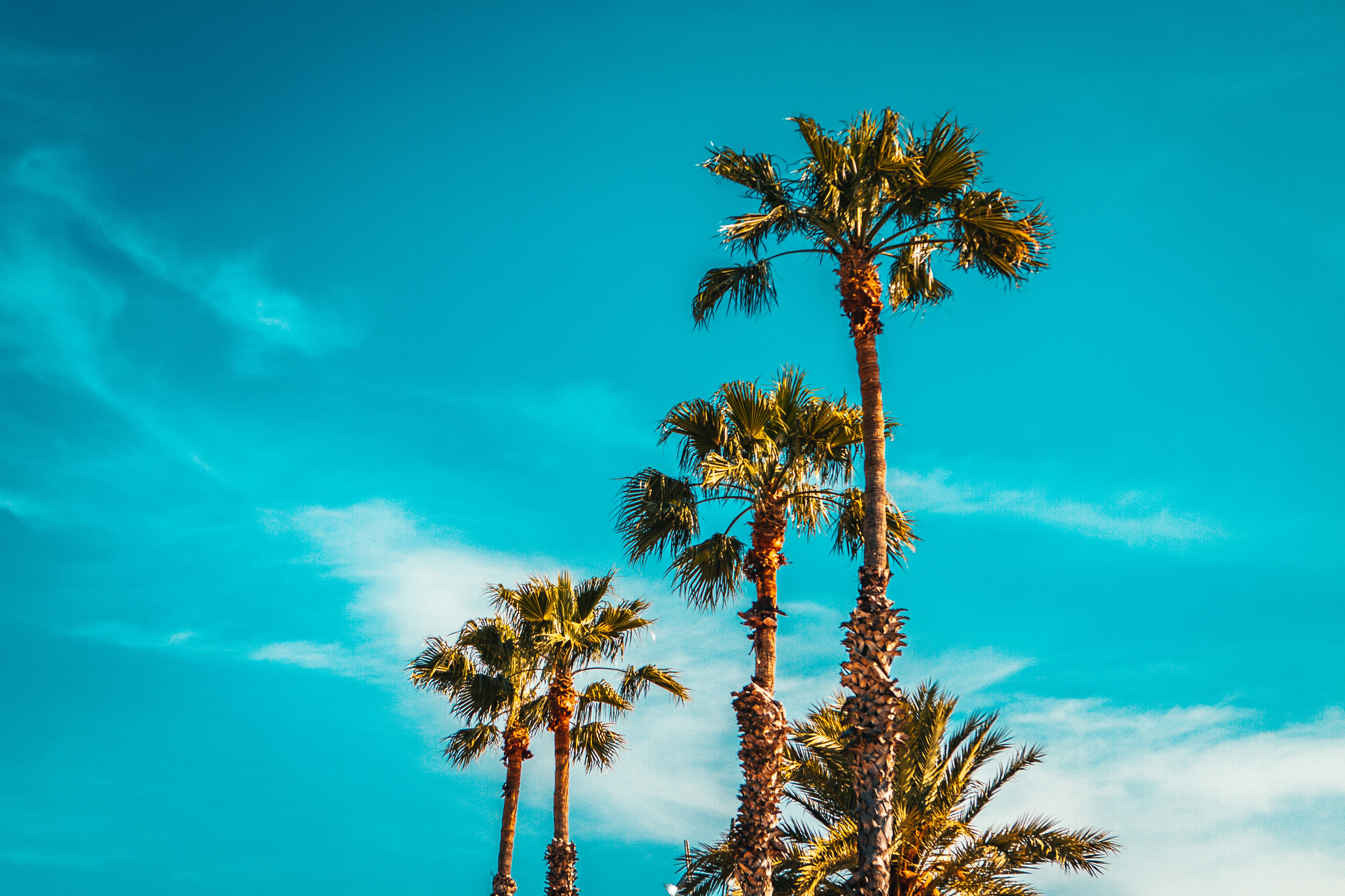 10 Cities Every Creative Should Visit Before They Burn Out