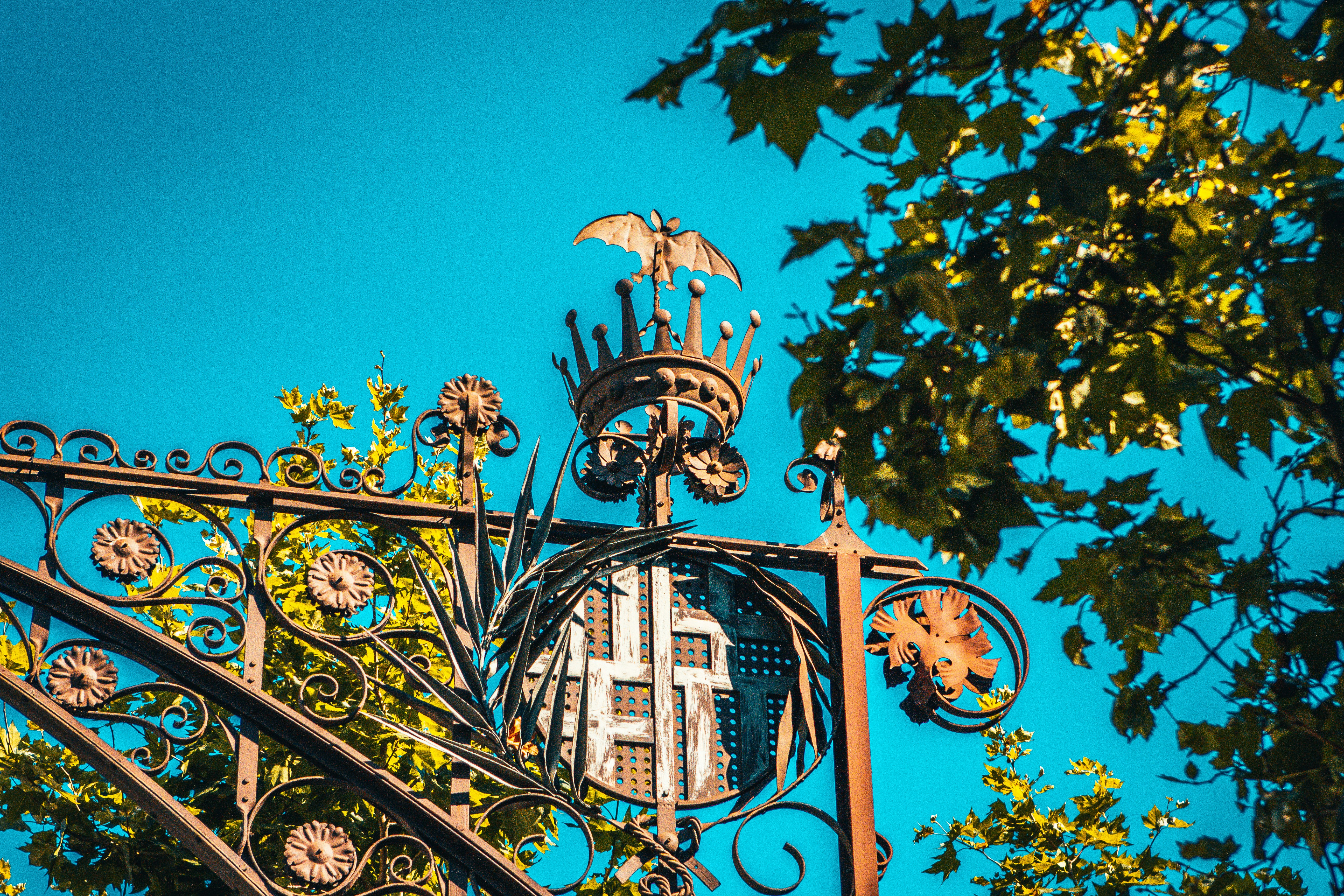 Photo by raimondklavins