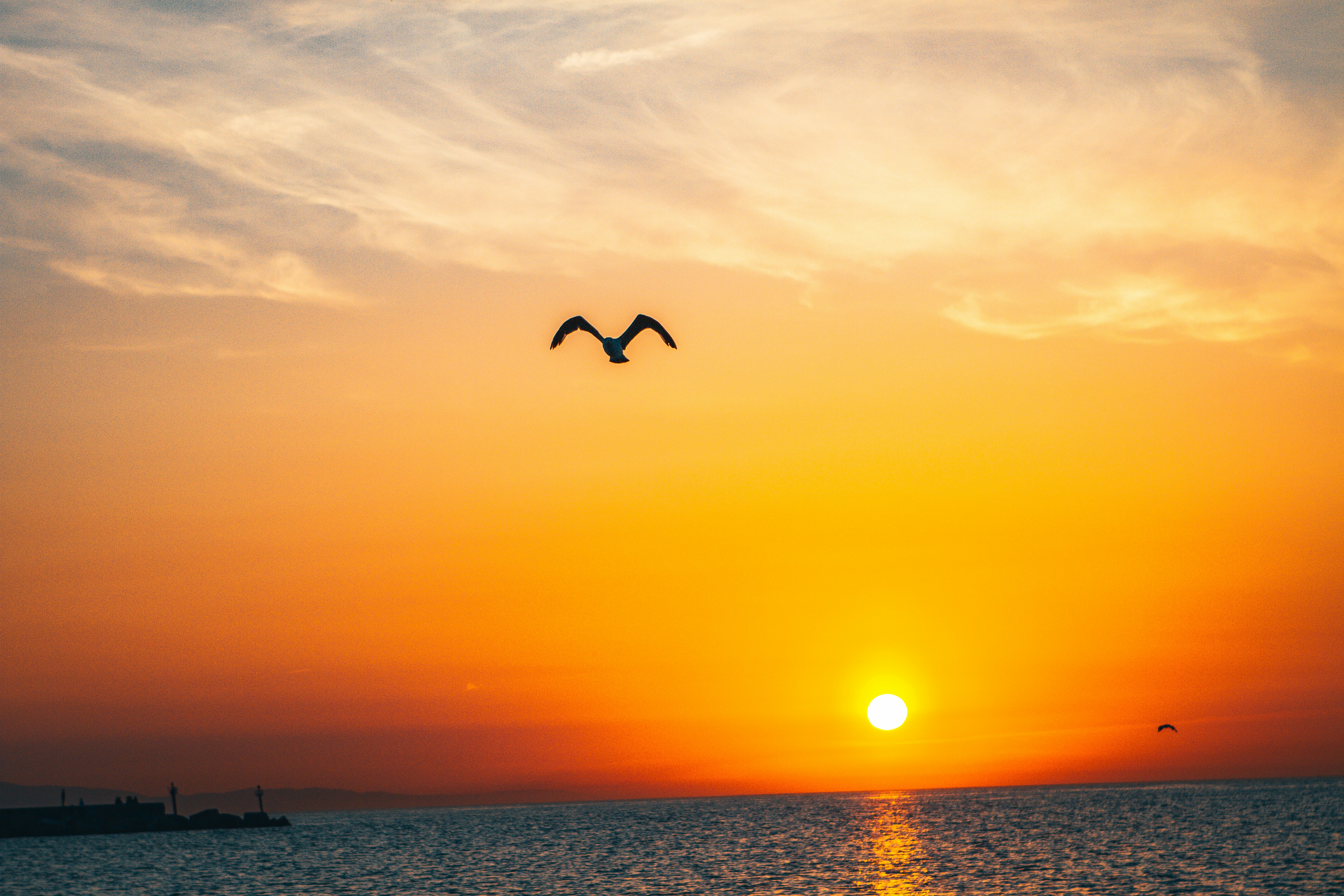 Photo by raimondklavins