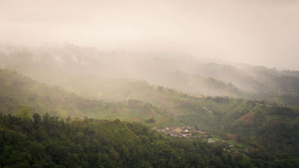 green trees on mountain during daytime