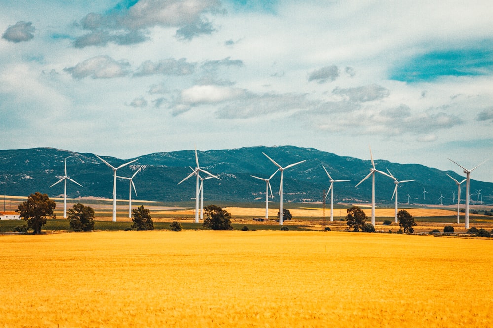 weiße Windräder auf brauner Wiese unter blau-weißem sonnigem Bewölkungshimmel tagsüber