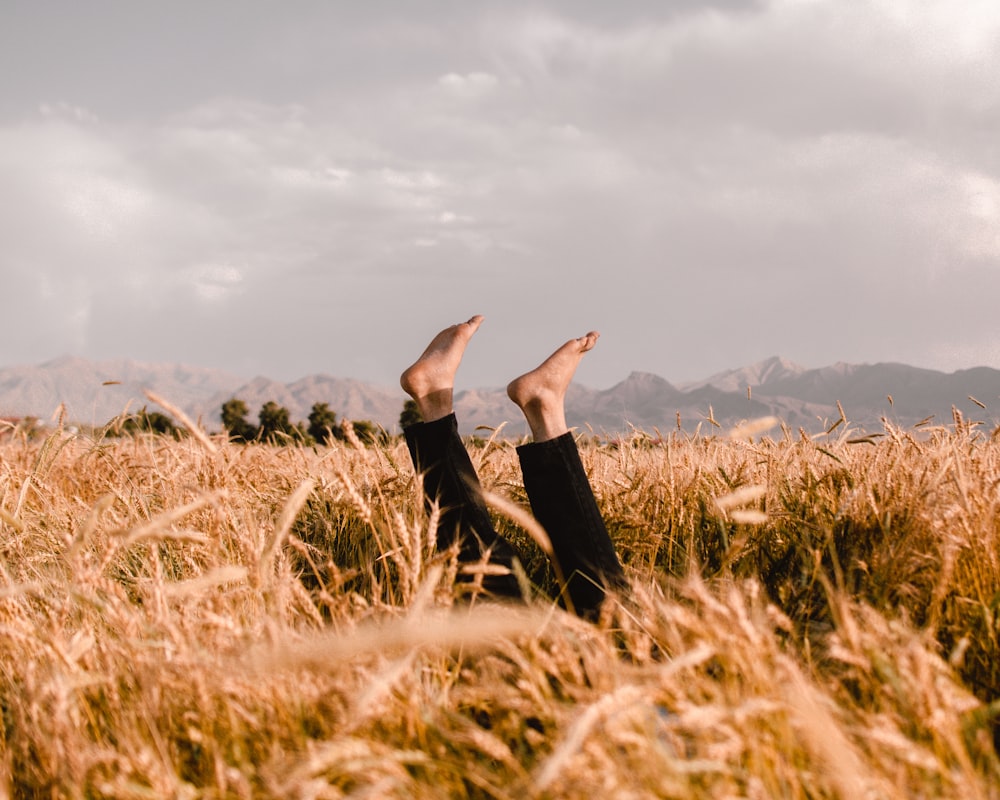 person in black long sleeve shirt lying on brown grass field during daytime