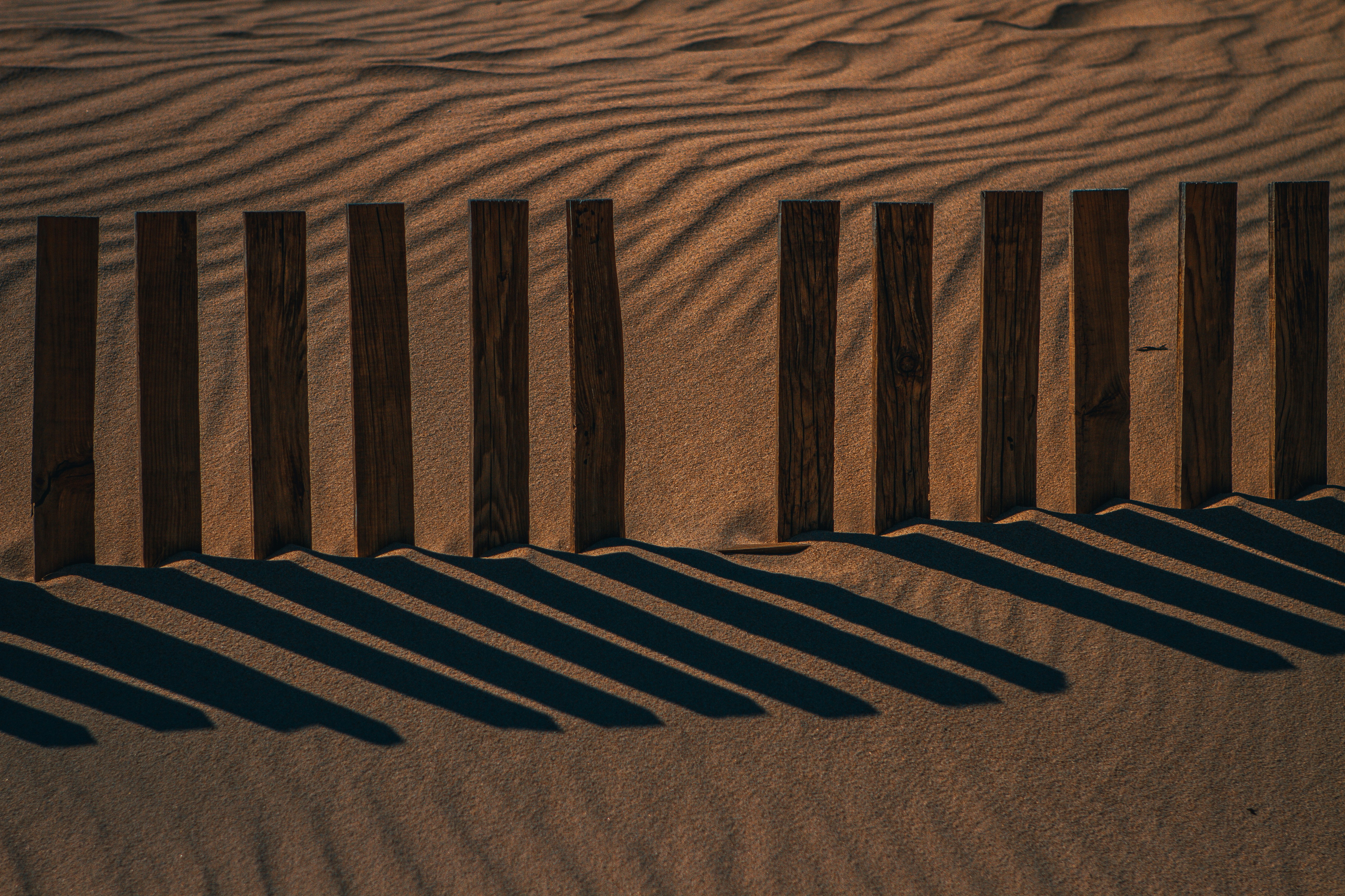 Photo by raimondklavins