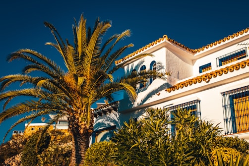 white concrete building near palm trees during daytime