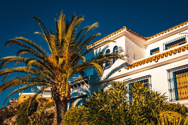 white concrete building near palm trees during daytime
