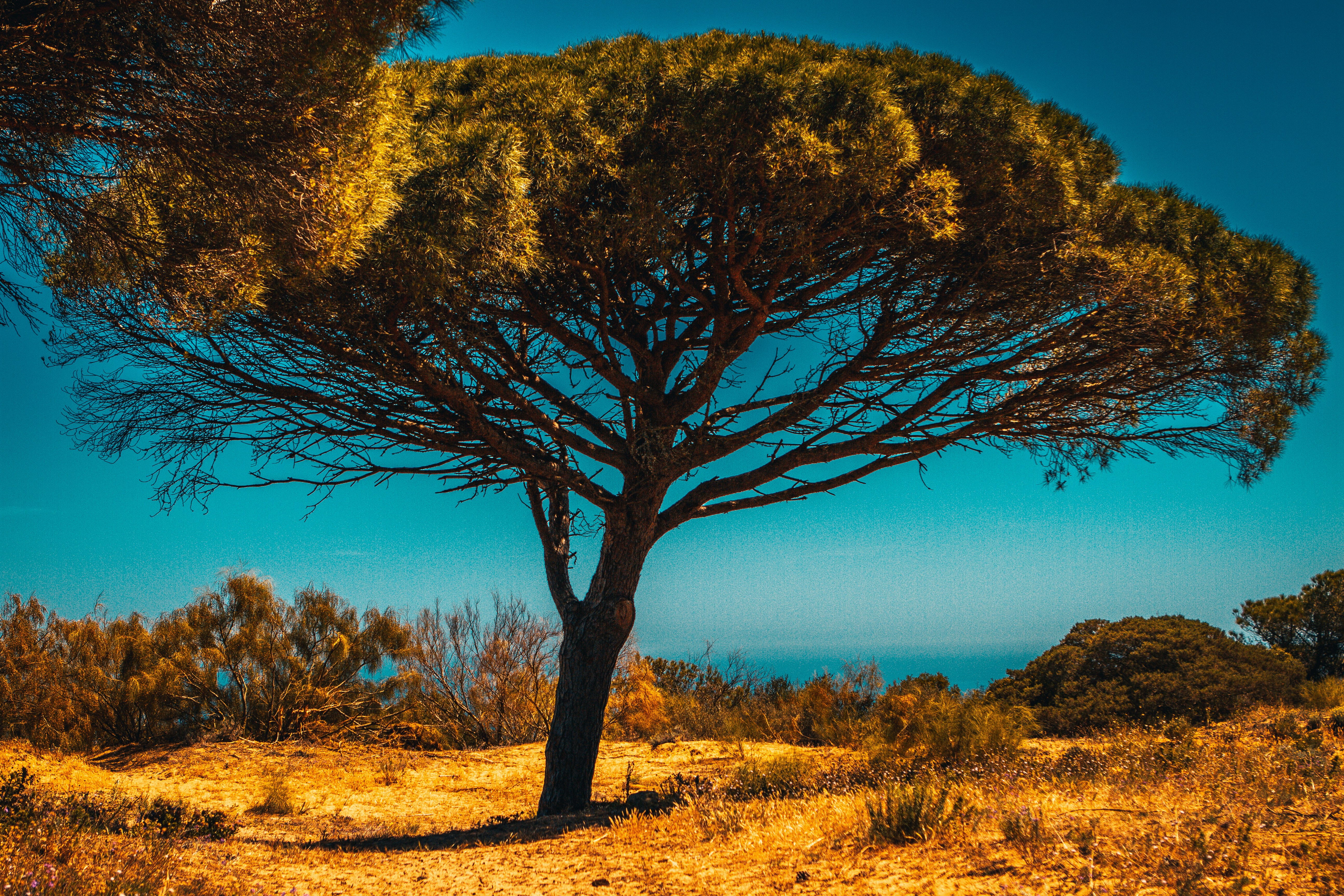 Photo by raimondklavins