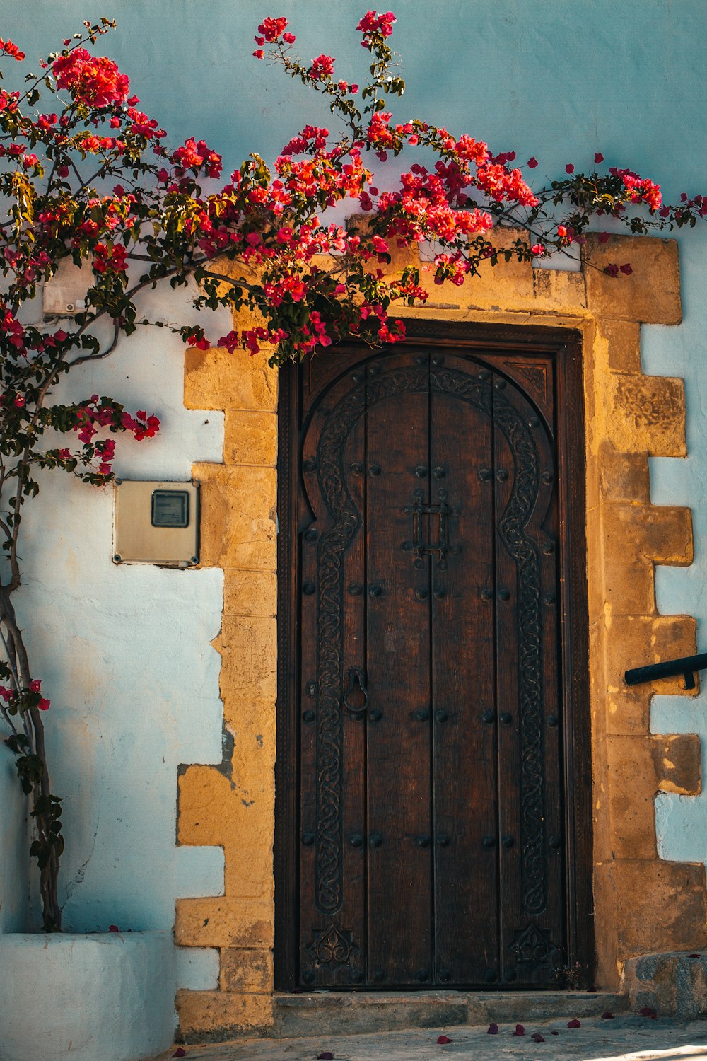 brown wooden door with pink flowers