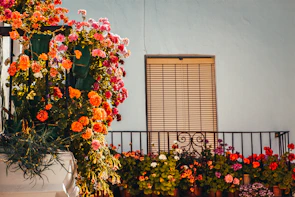 Close-up of a flower bin holder filled with vibrant blooms on a balcony.