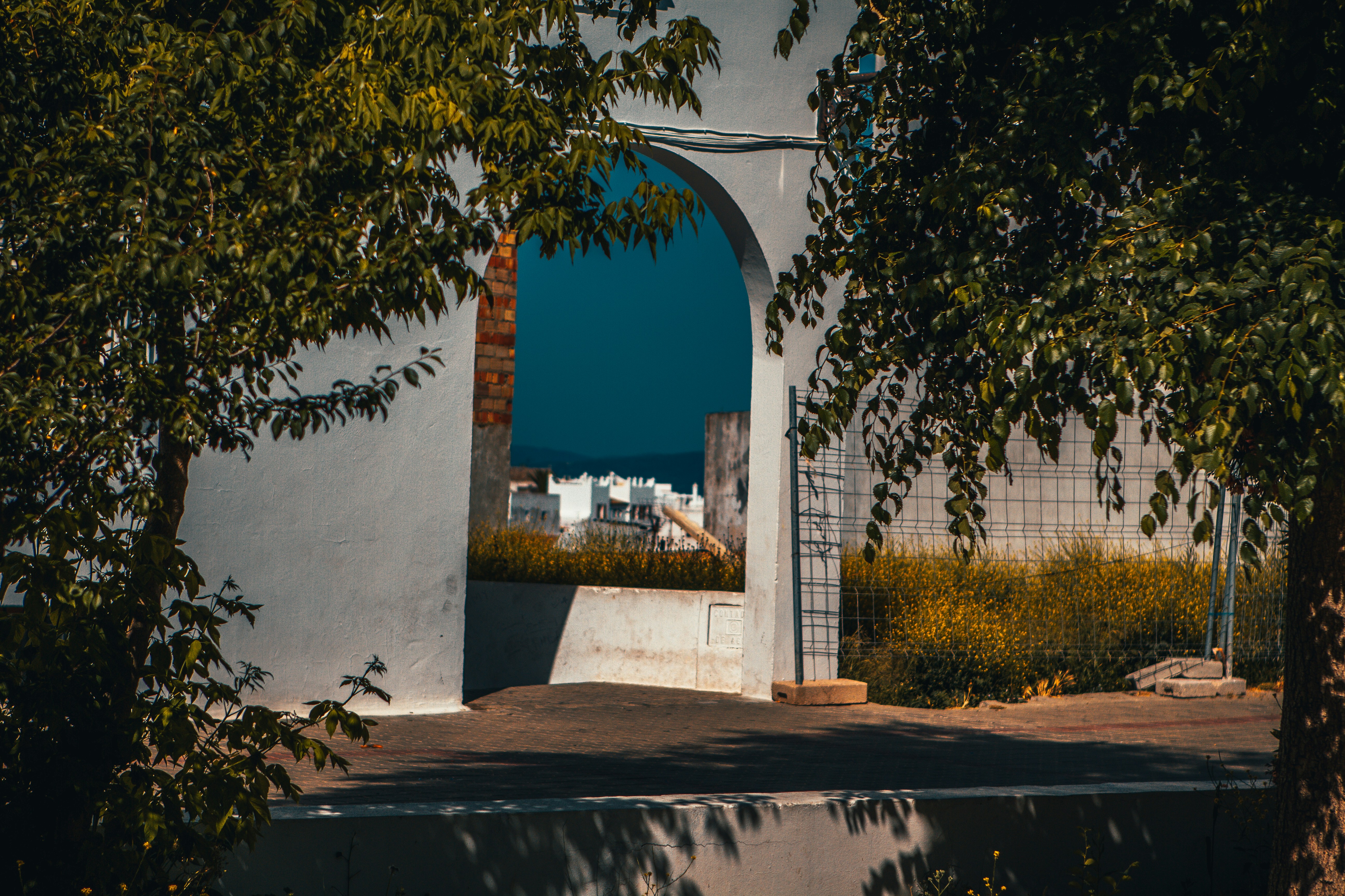 Photo by raimondklavins