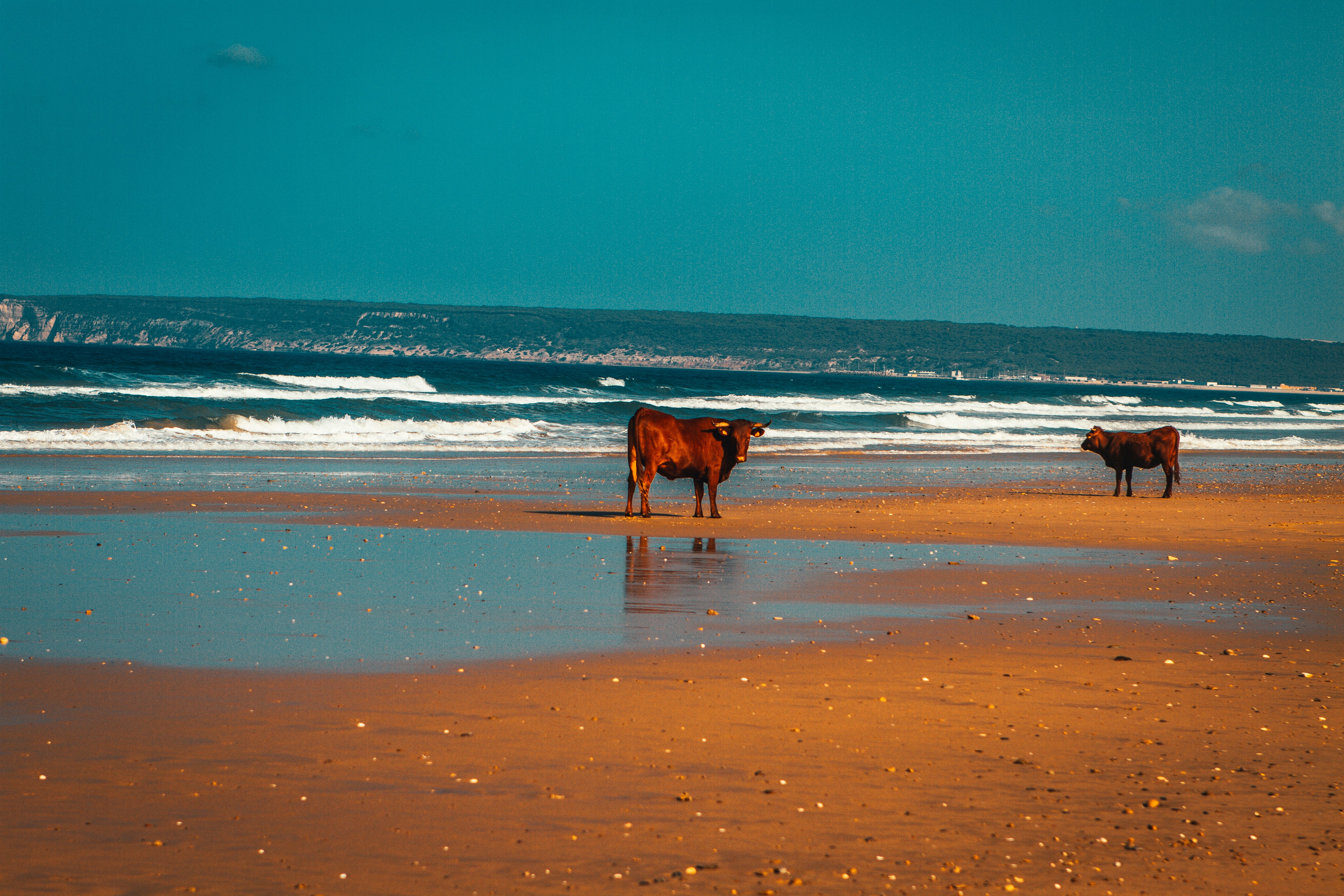 Photo by raimondklavins