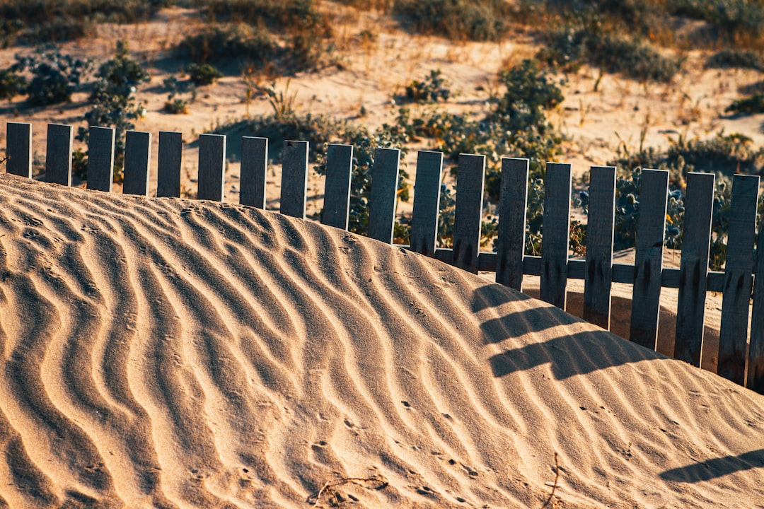 black wooden fence on brown sand