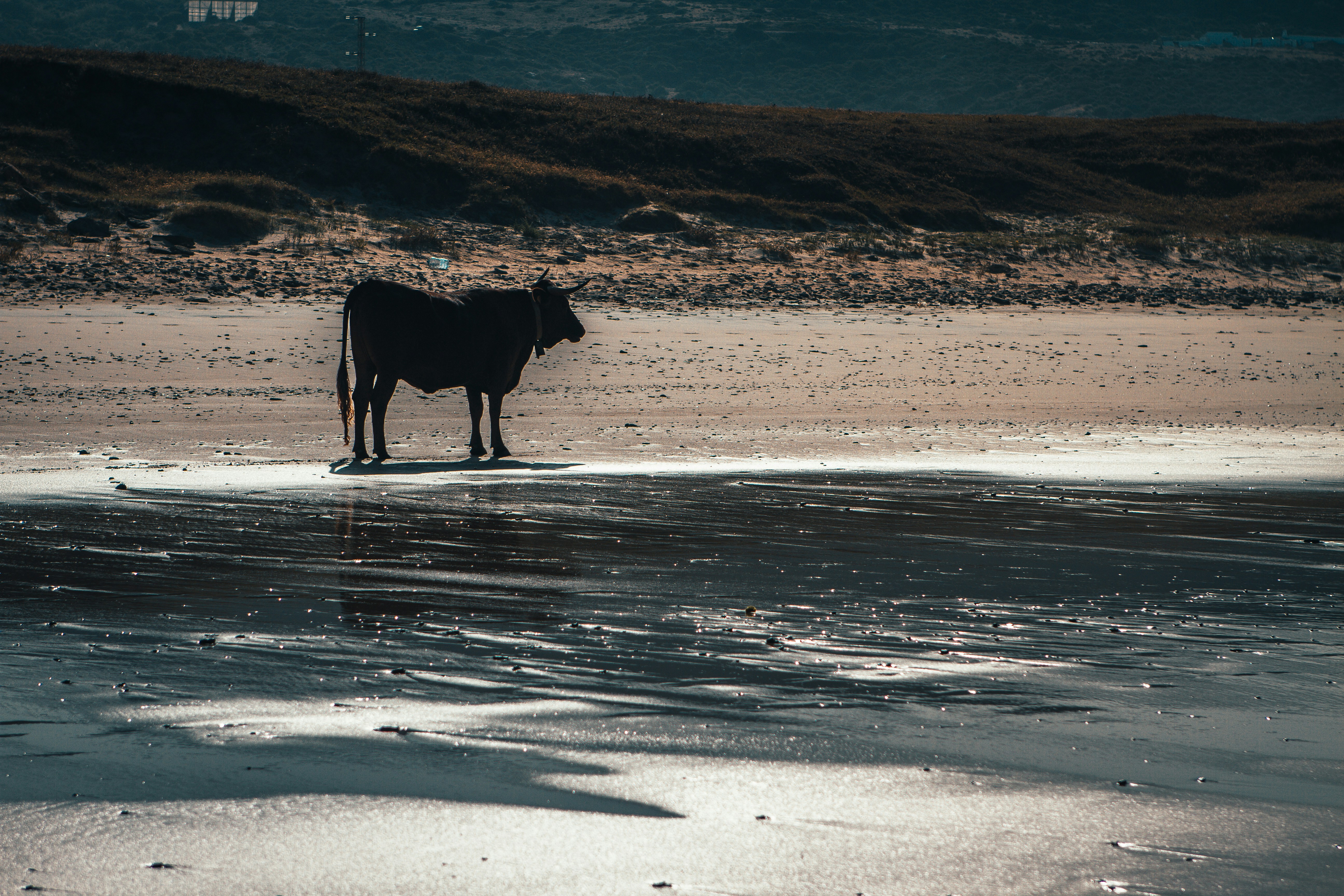 Photo by raimondklavins