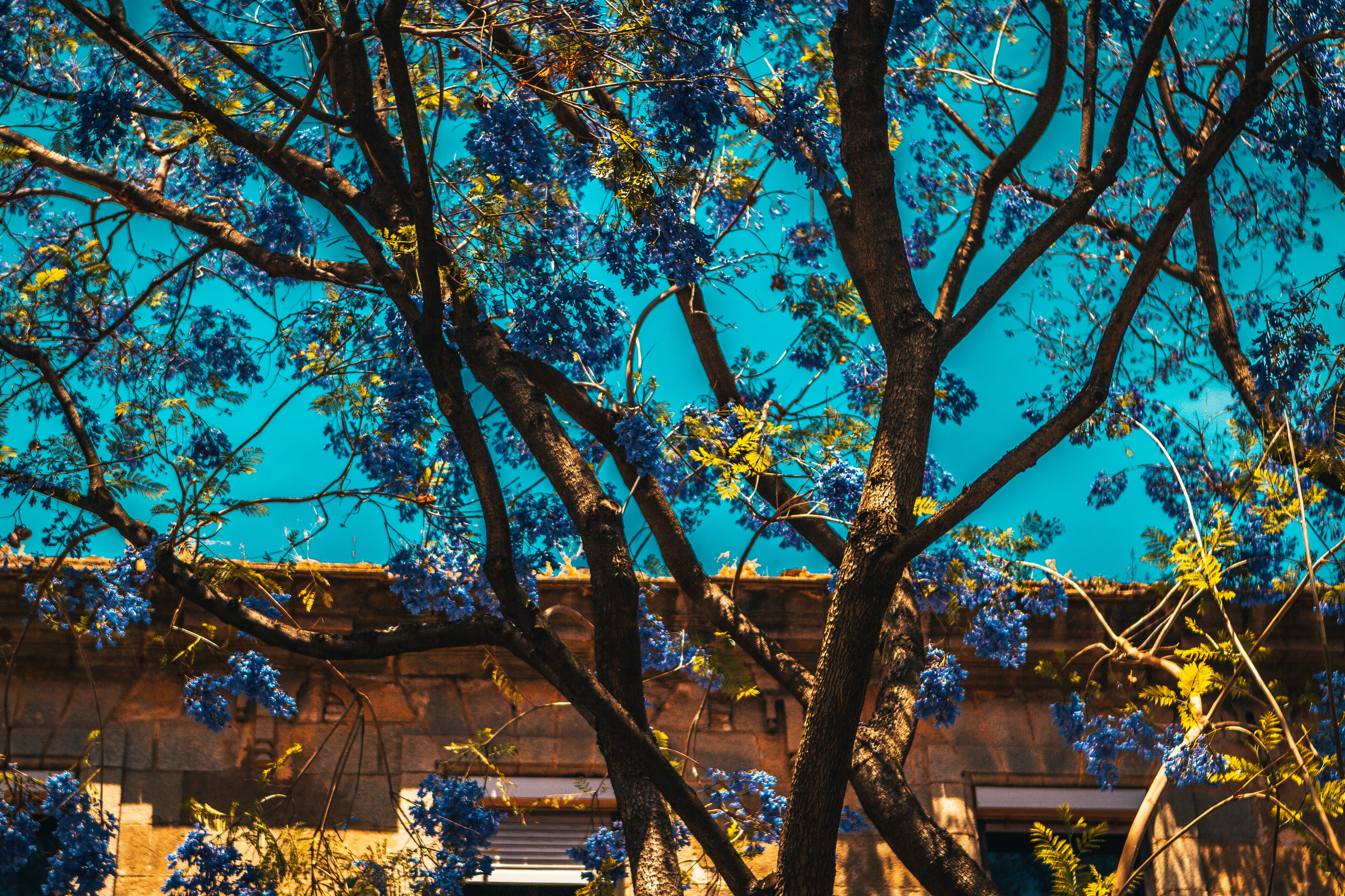 Photo by raimondklavins