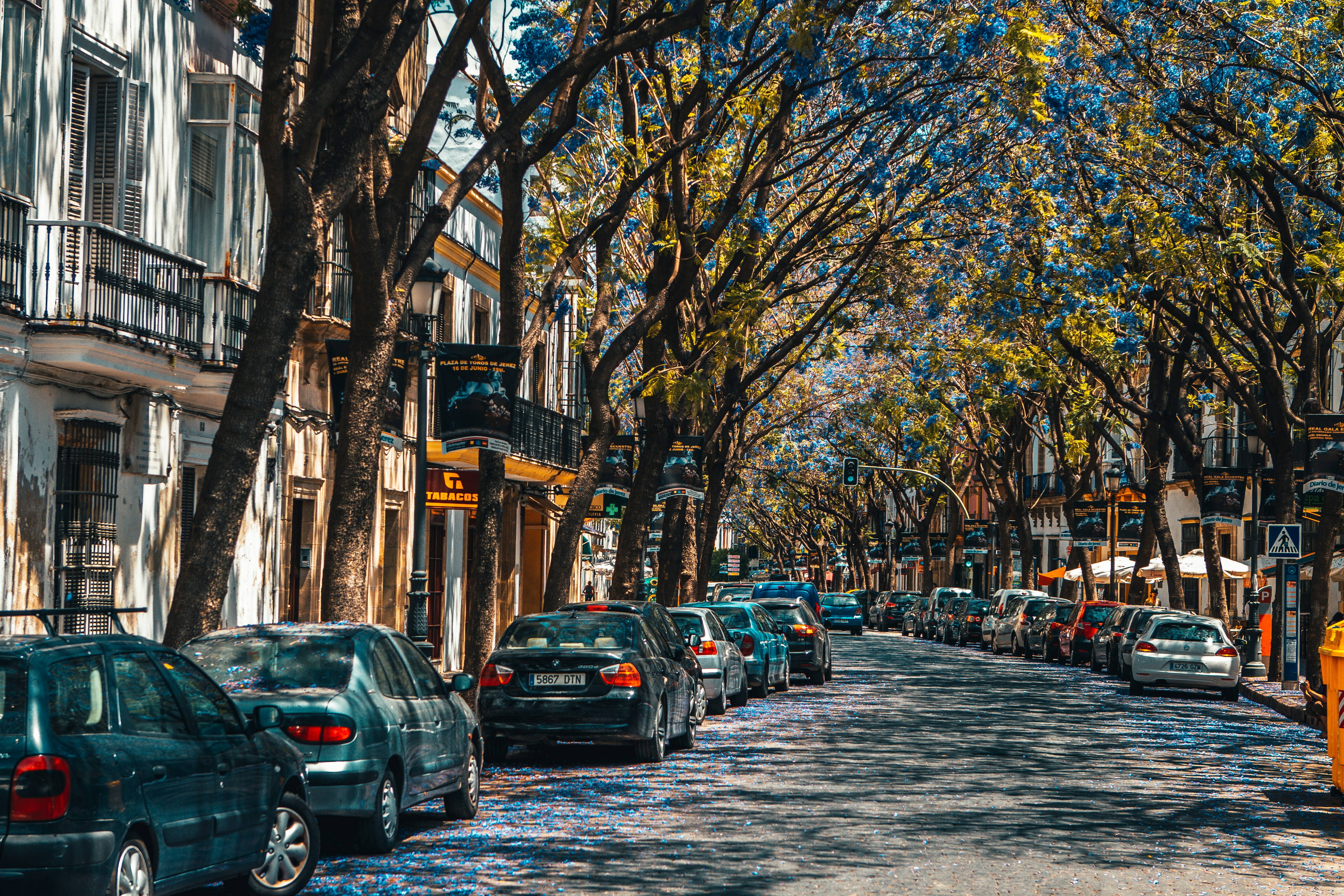 Photo by raimondklavins