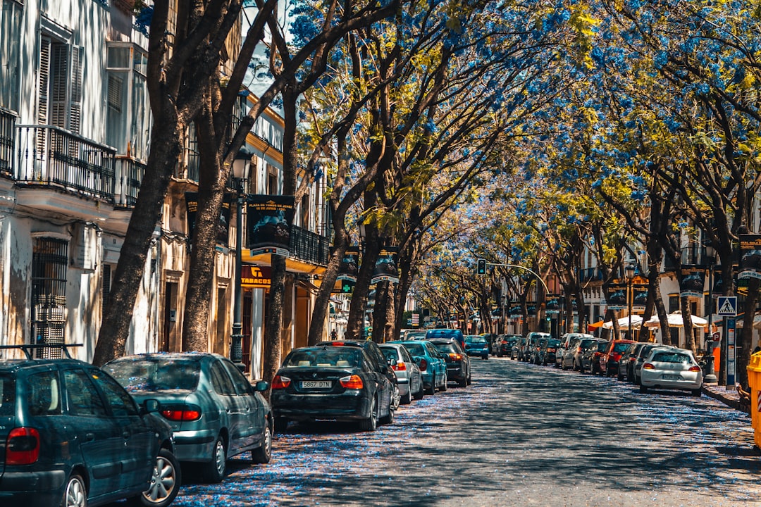 people walking on street during daytime