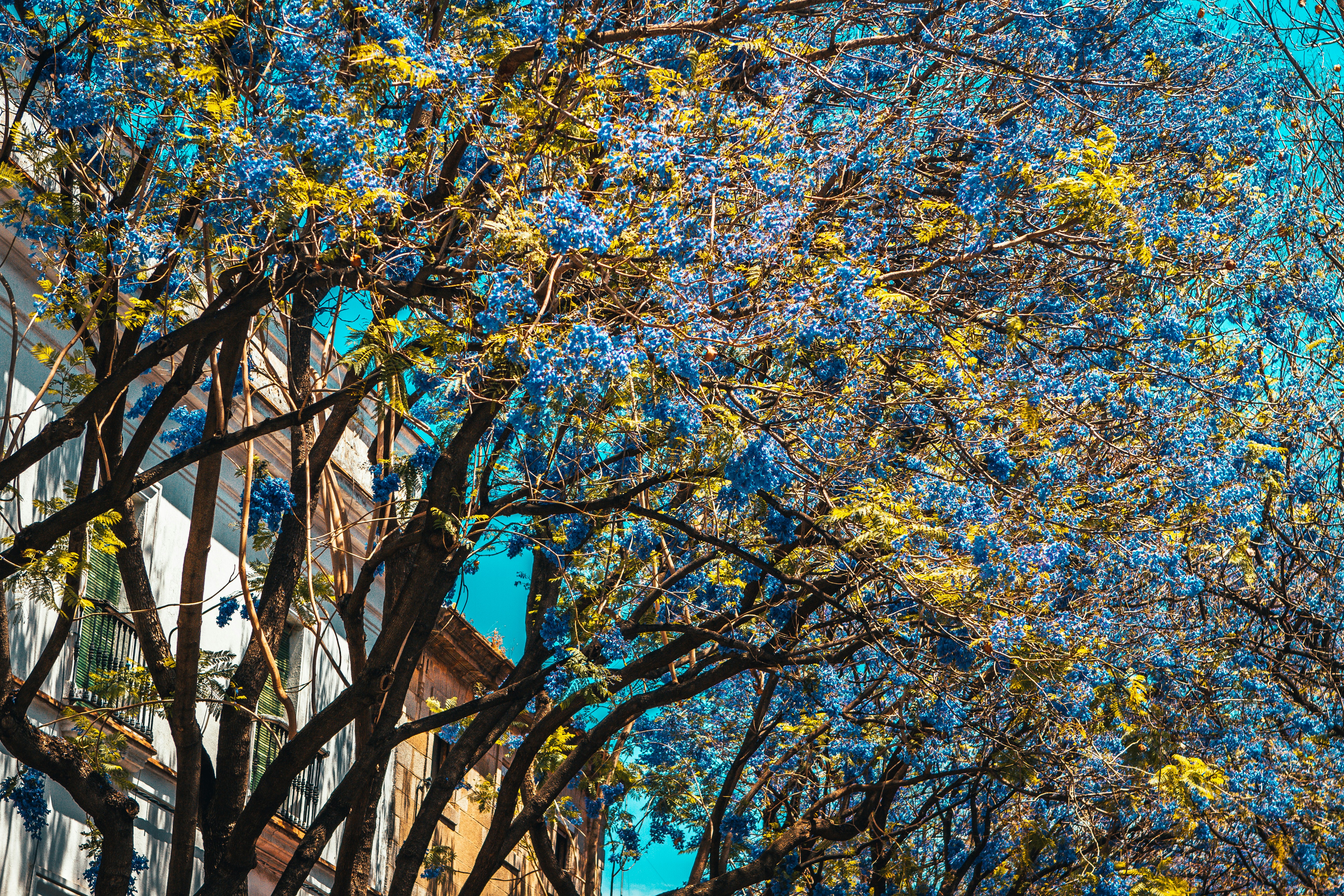 Photo by raimondklavins