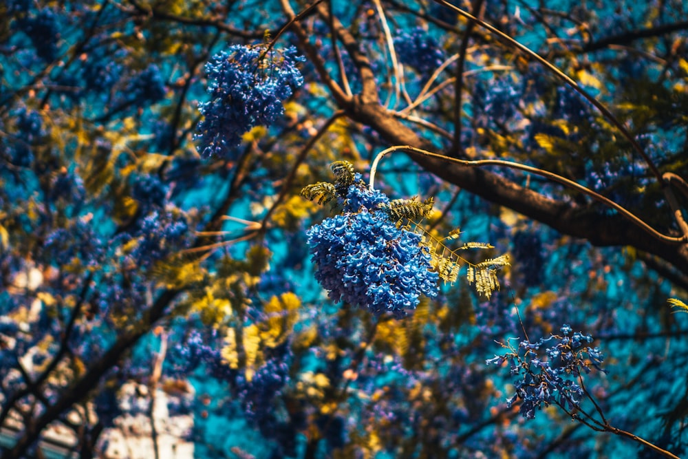 green and brown tree during daytime