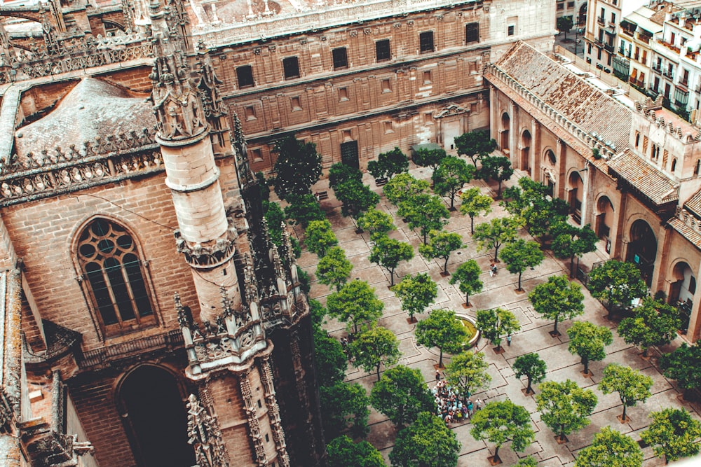 aerial view of green trees and brown concrete building during daytime