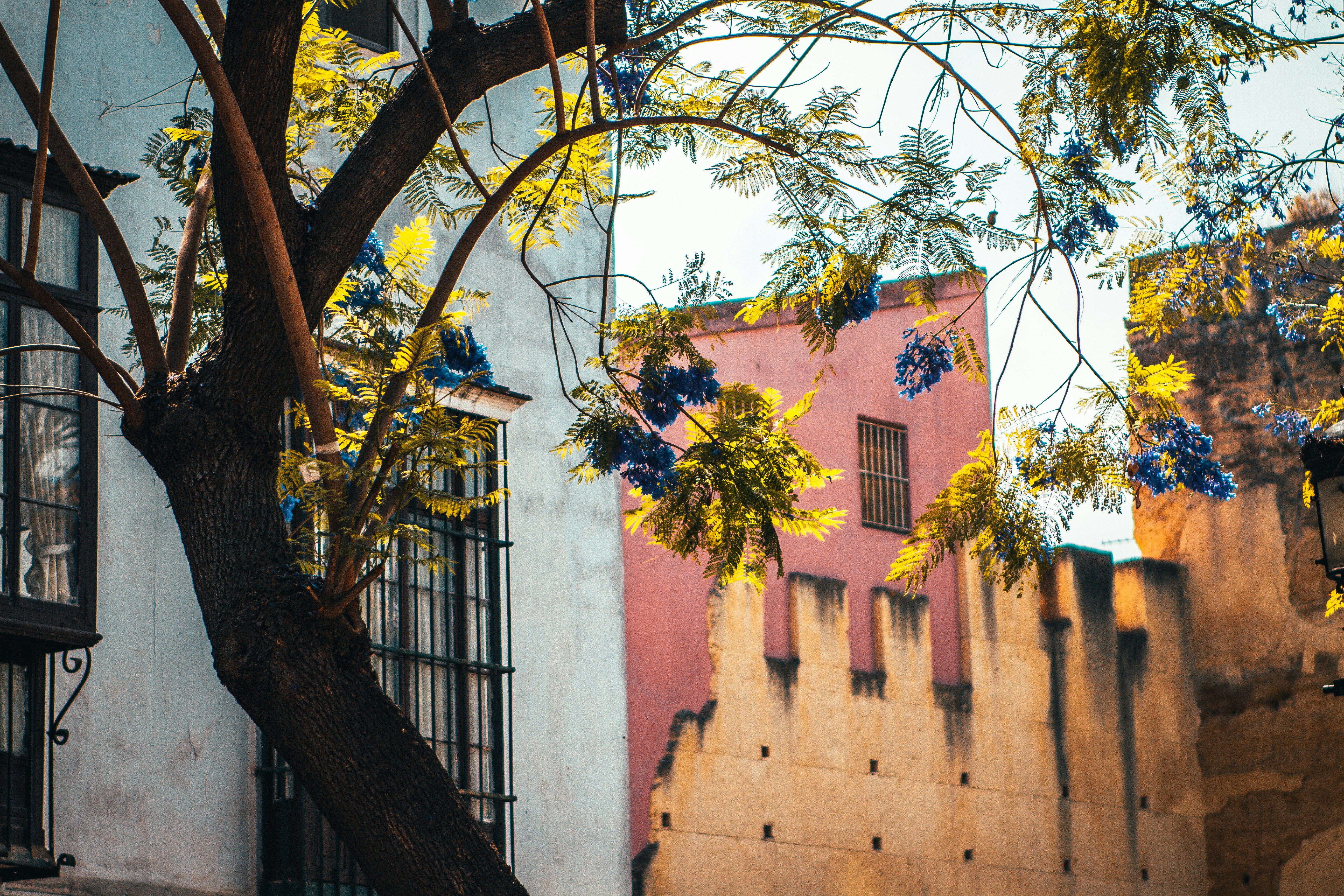 Photo by raimondklavins