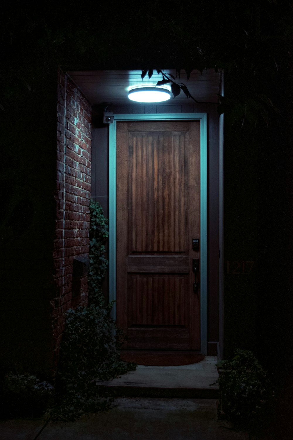 brown wooden door near green plants