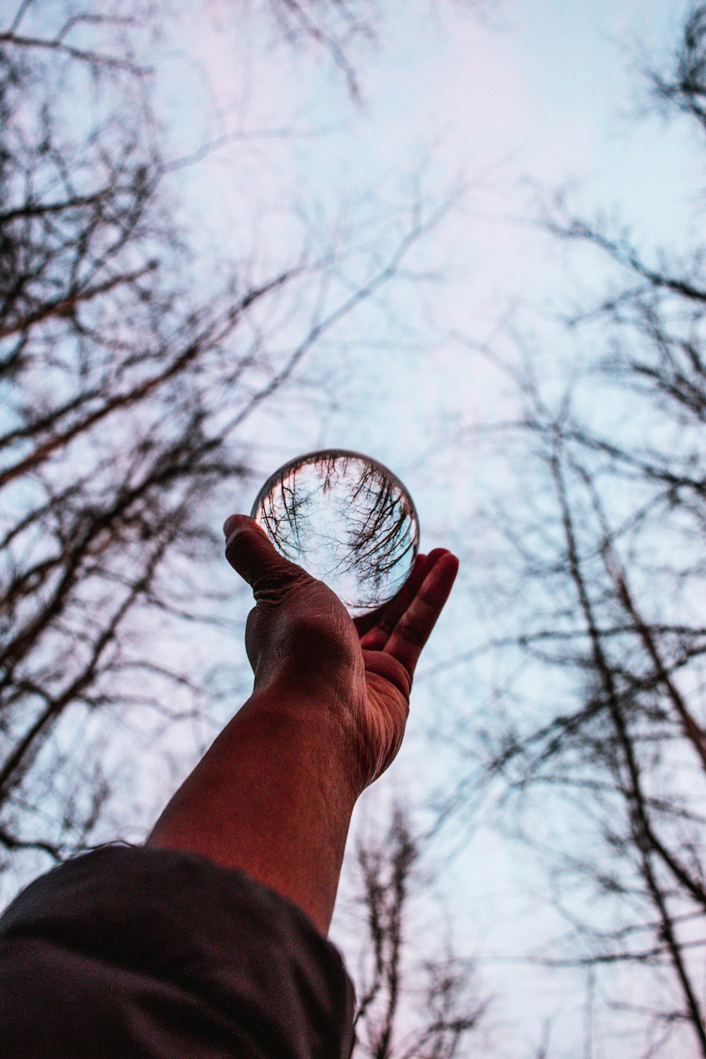 a hand holding a glass bowl in front of trees