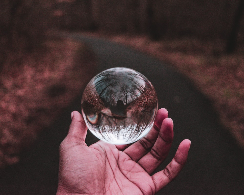 person holding clear glass ball