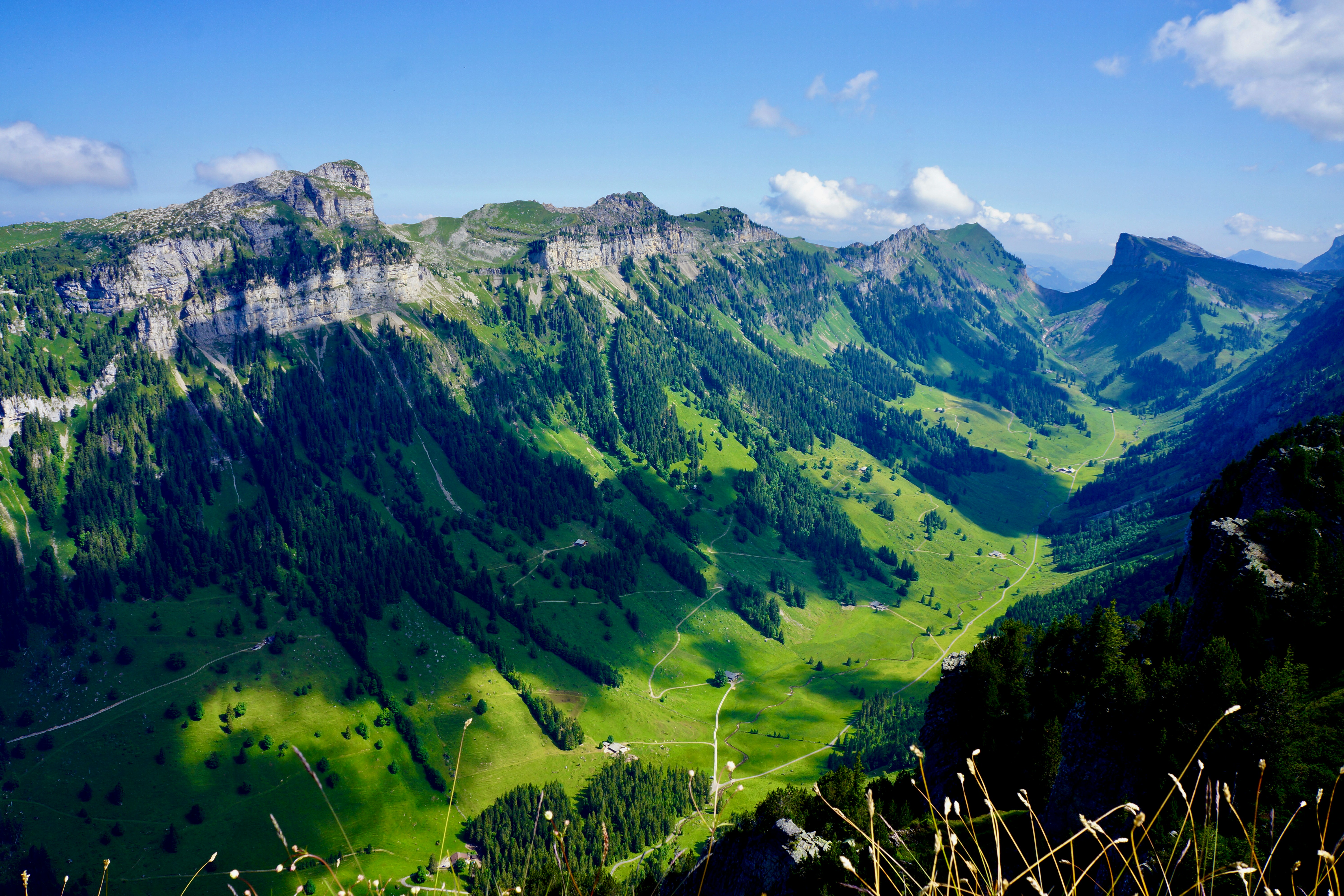 Photo by peterburdon