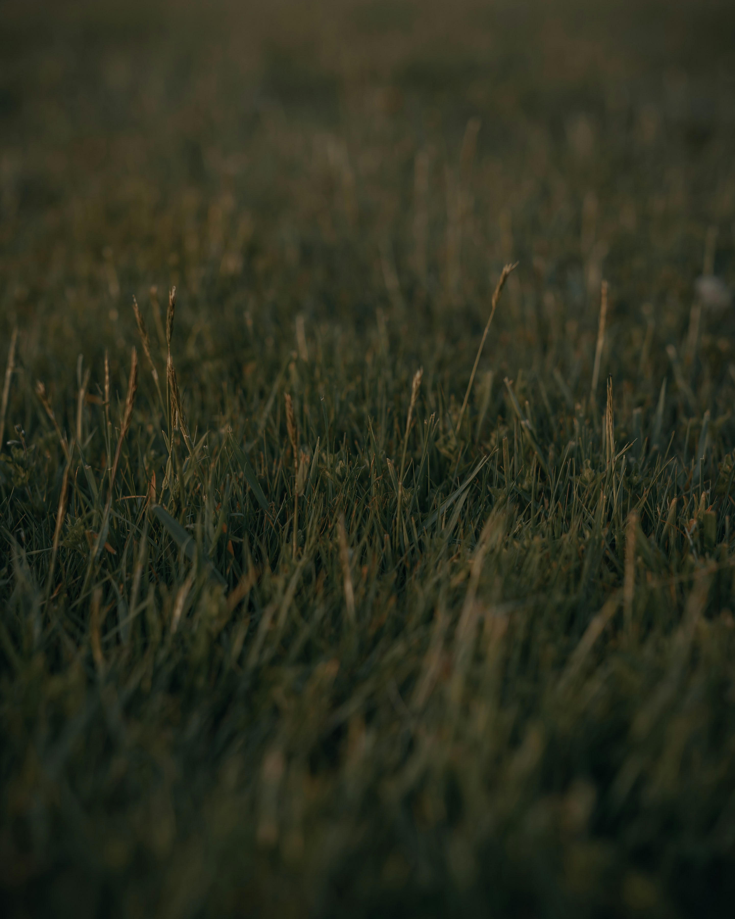 woman wearing yellow long-sleeved dress under white clouds and blue sky during daytime