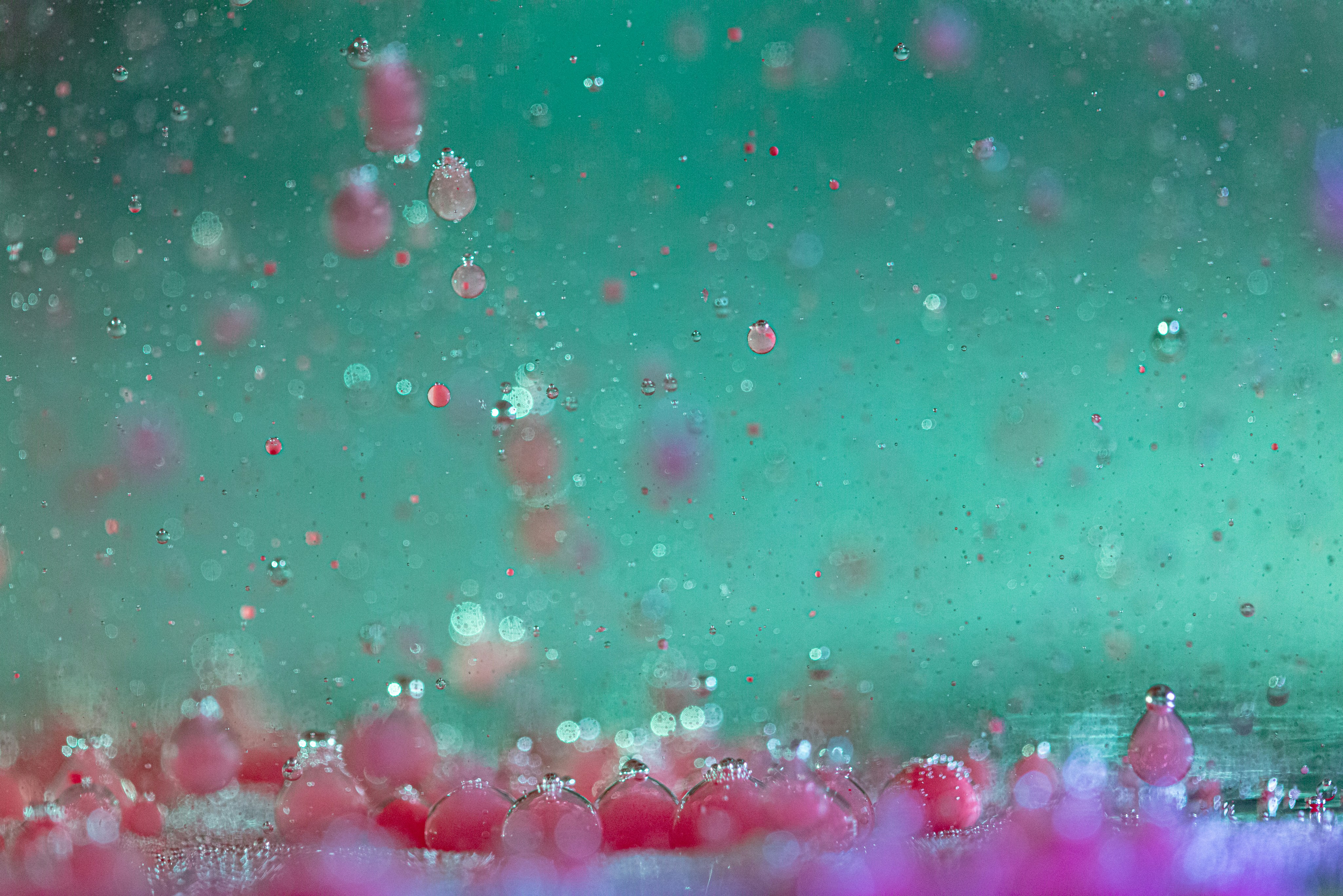 Photo by solenfeyissa