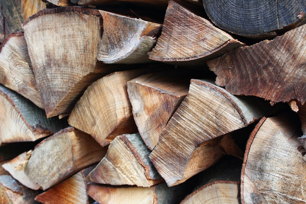 brown wooden log in close up photography