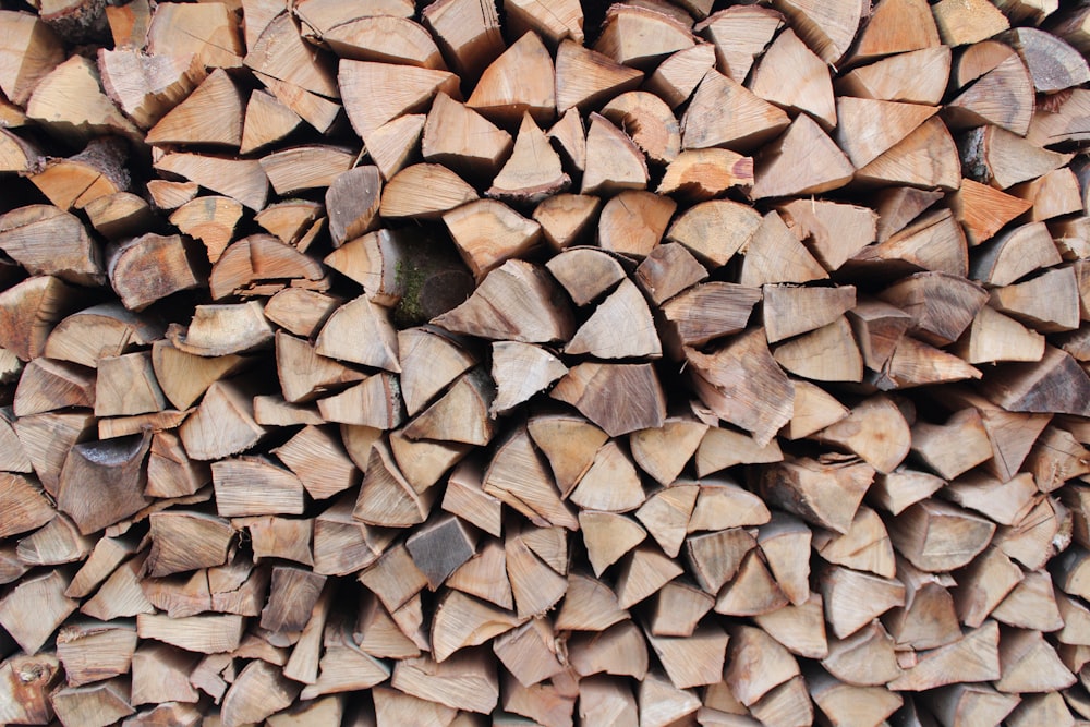 brown wooden logs during daytime